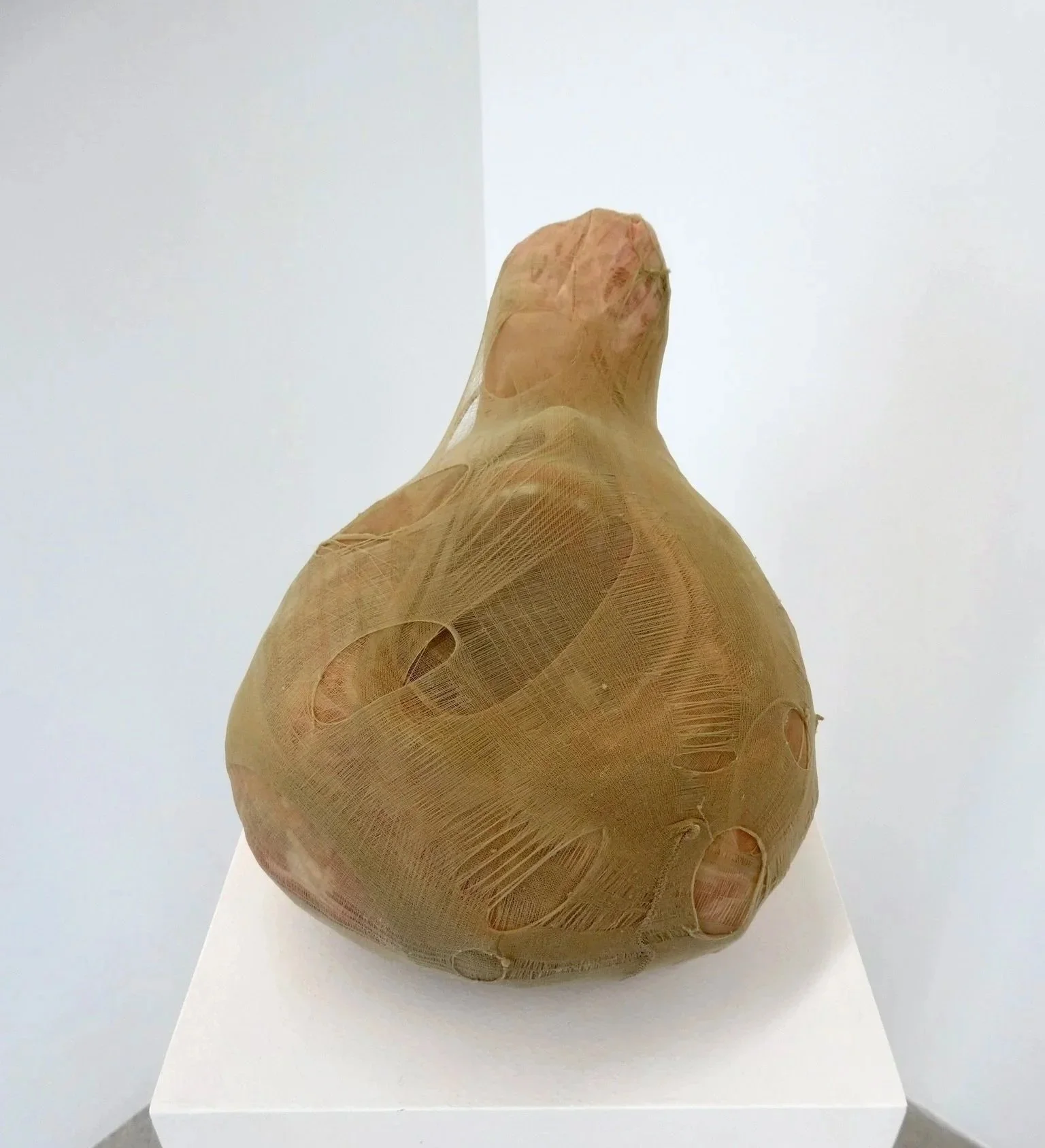 P1002331.jpg