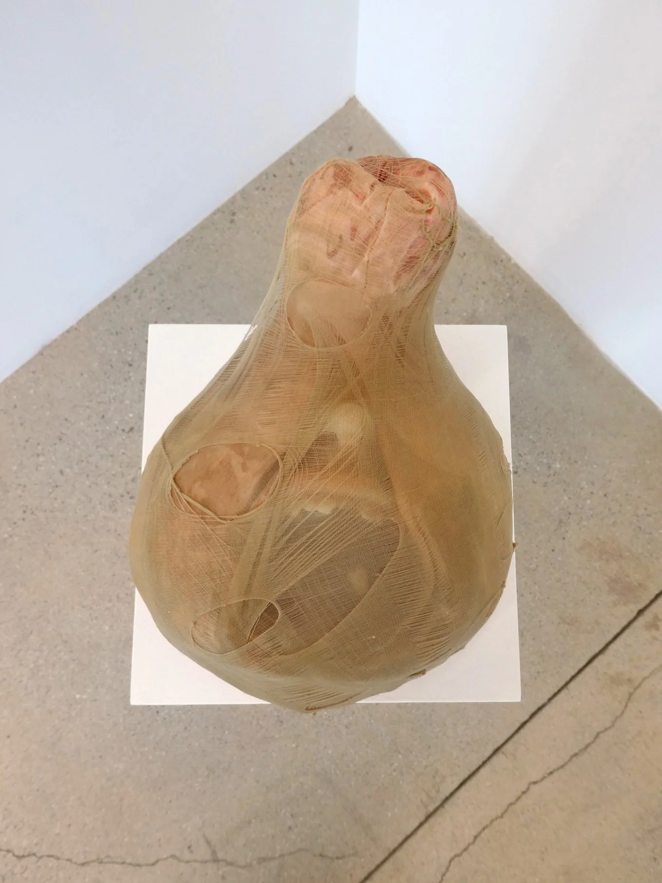 P1002339.jpg