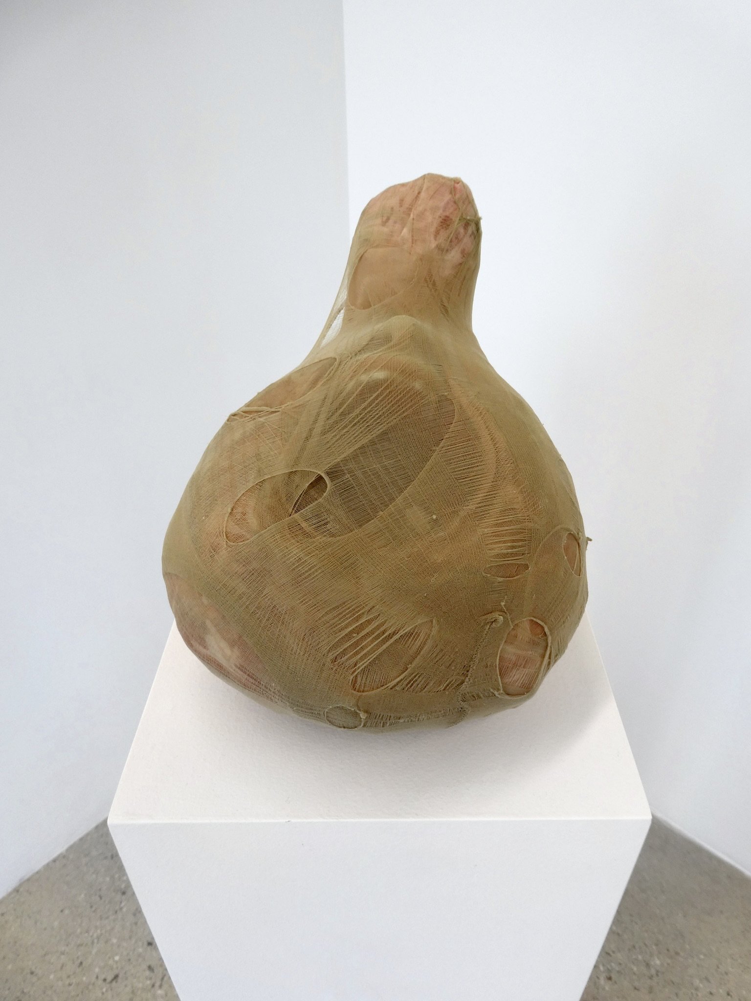 "Silent Shout (Fever Dream)".
Beeswax, fabric, hosiery, pigment, thread, wisdom tooth. 8.25” H x 7.5” W x 10” D. 2025.
