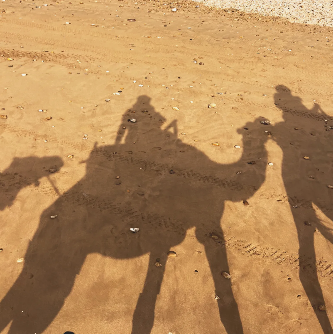 Reflecting on the Shadows: My Evolution as a Coach