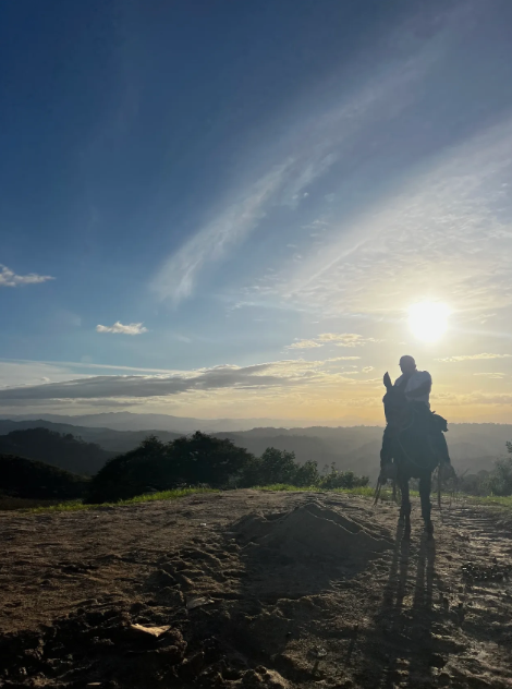A Life Beyond the Familiar: The Power of Curiosity