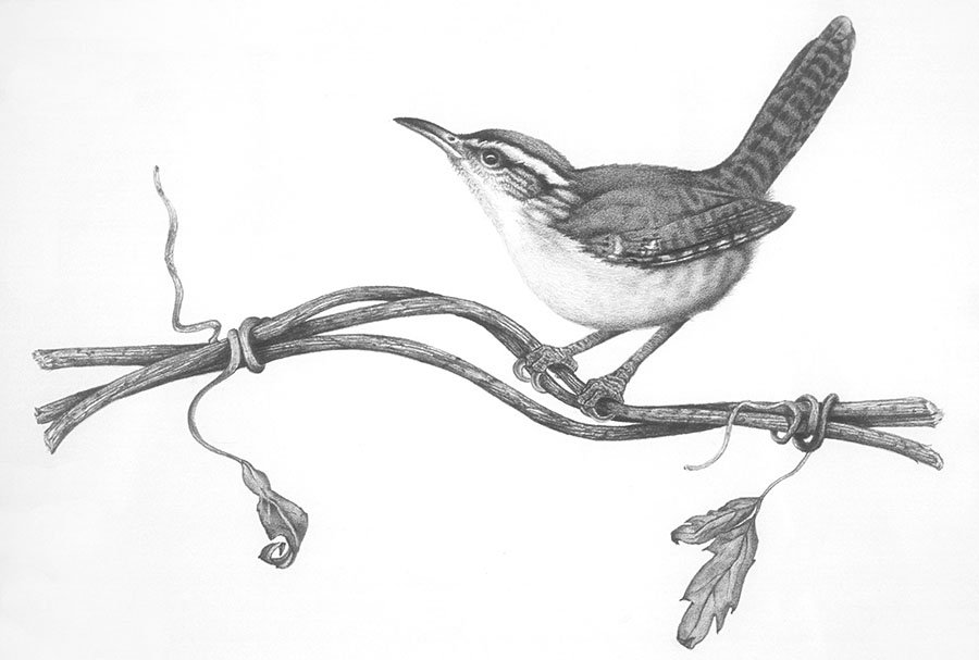 Shop for Giclee Prints by Deborah Friedman