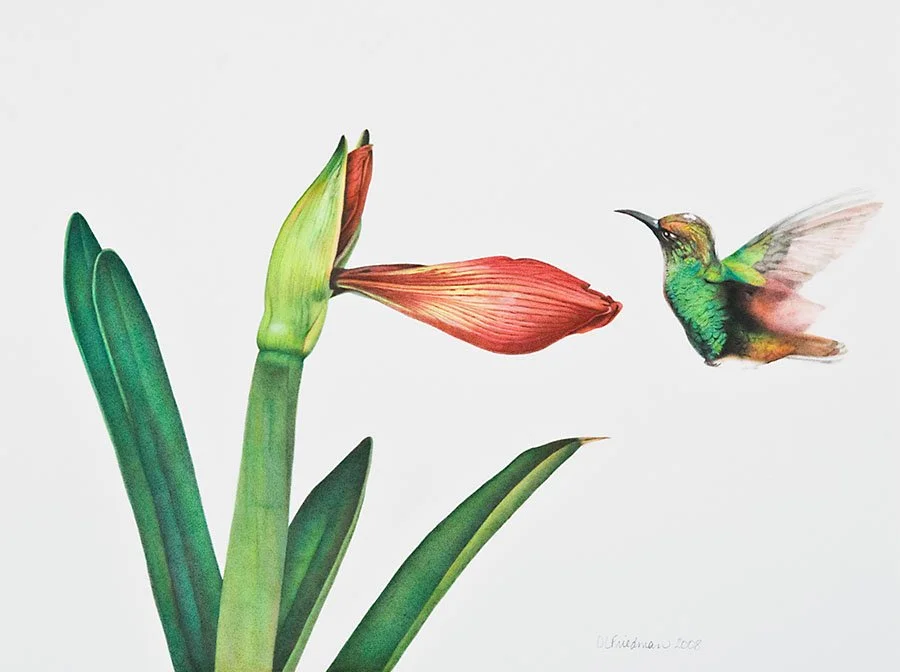 Waiting Notecards by Deborah Friedman