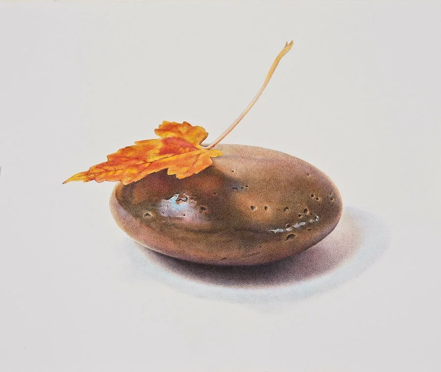 Leaf on Stone number 1 original