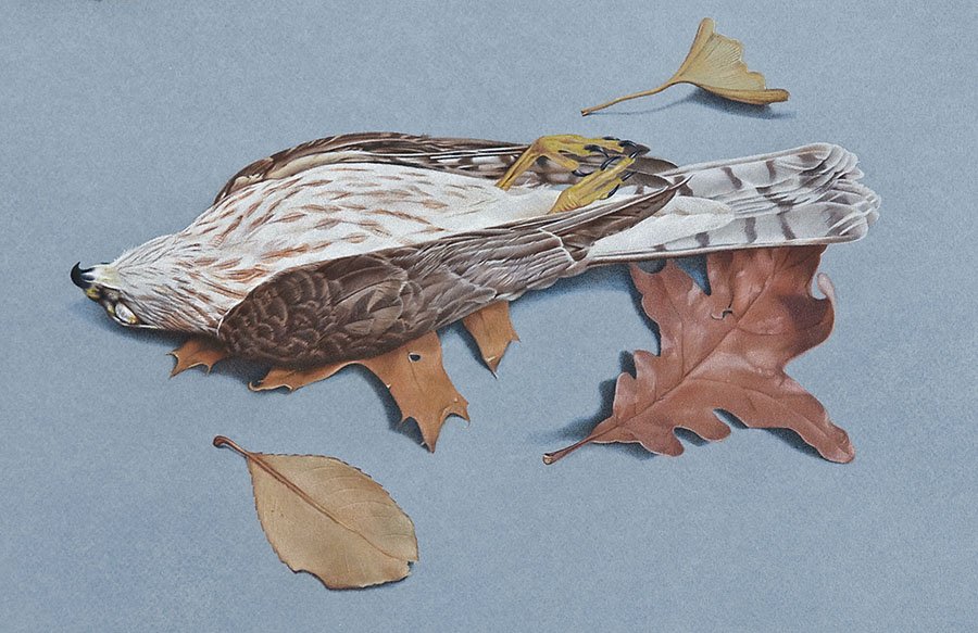 “Grave Place,” colored pencil (10.5"x16.75") – PRIVATE COLLECTION