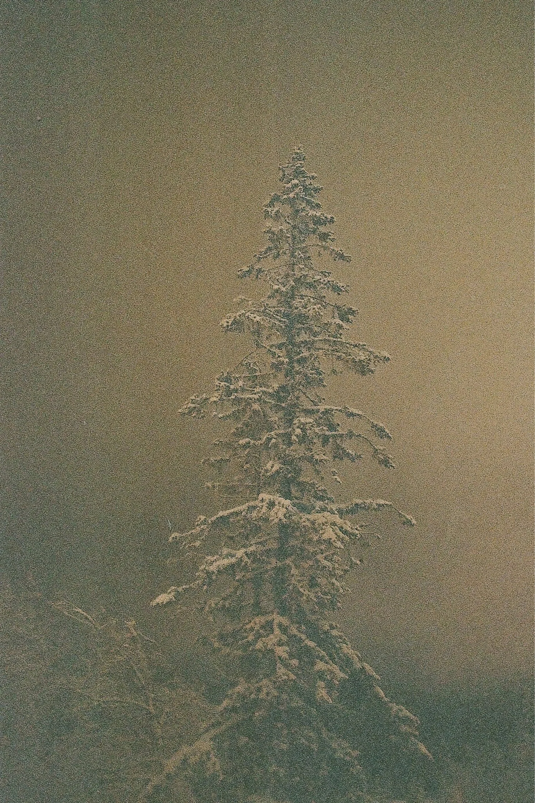 000320530009.jpg