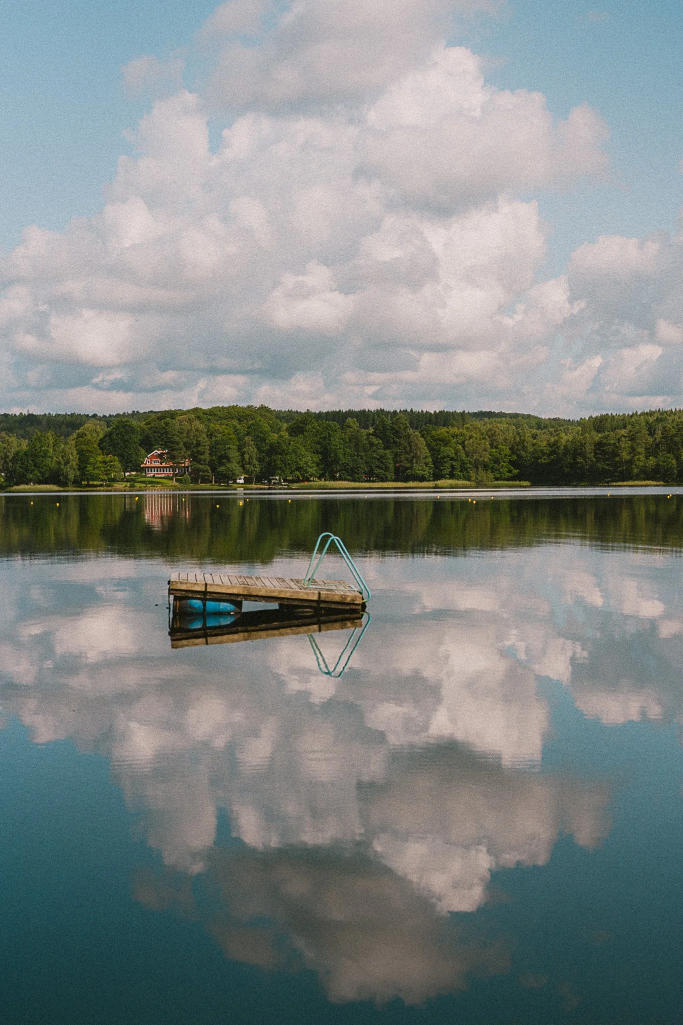 DSC07049.jpg