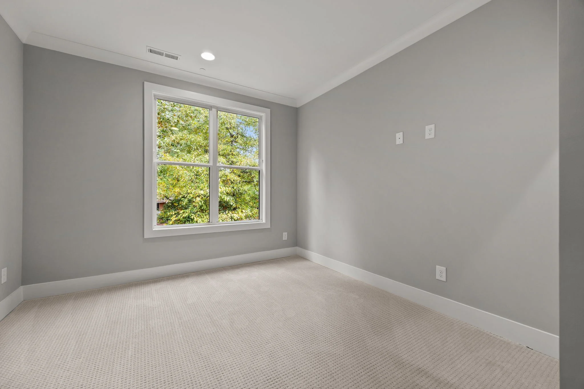 Empty room with a large window showing green trees outside, light gray walls, white trim, beige carpet, and ceiling lighting.