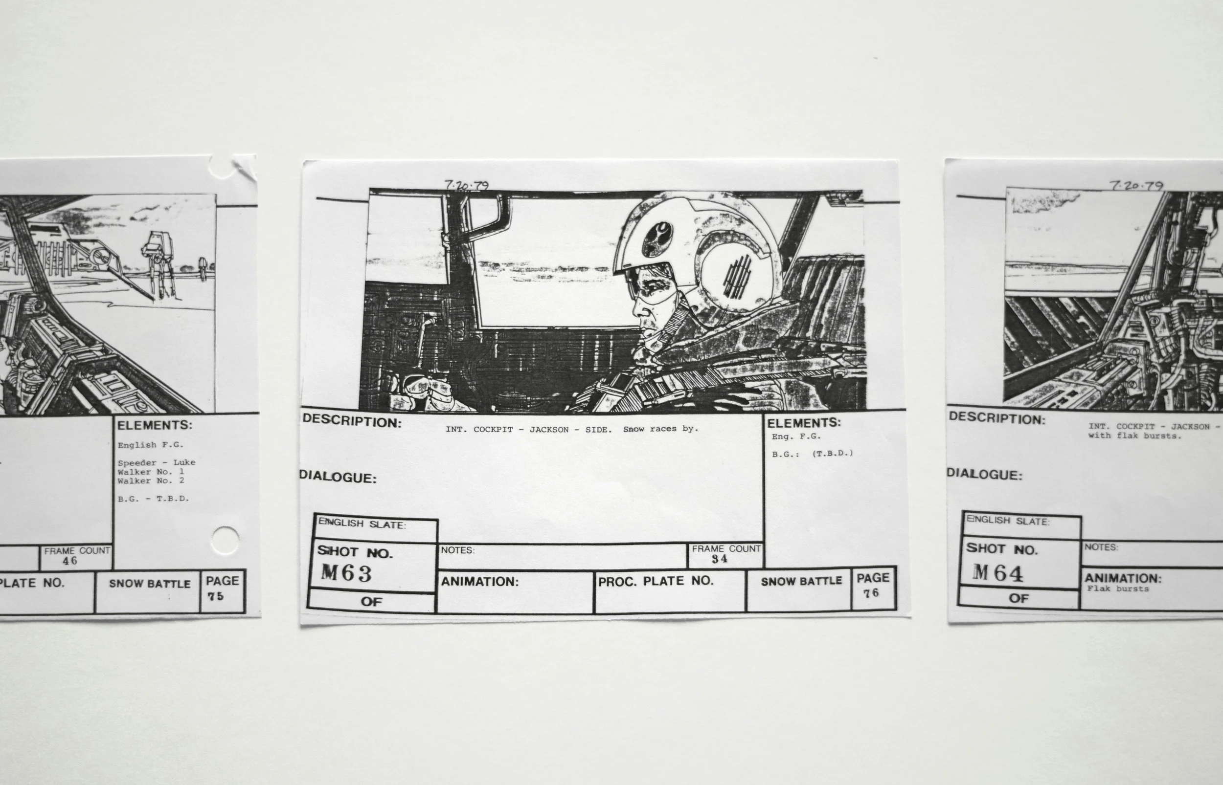 Standard Process Narrative Document