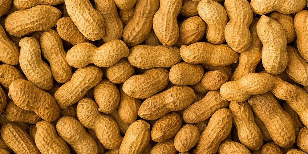 Peanut Allergen