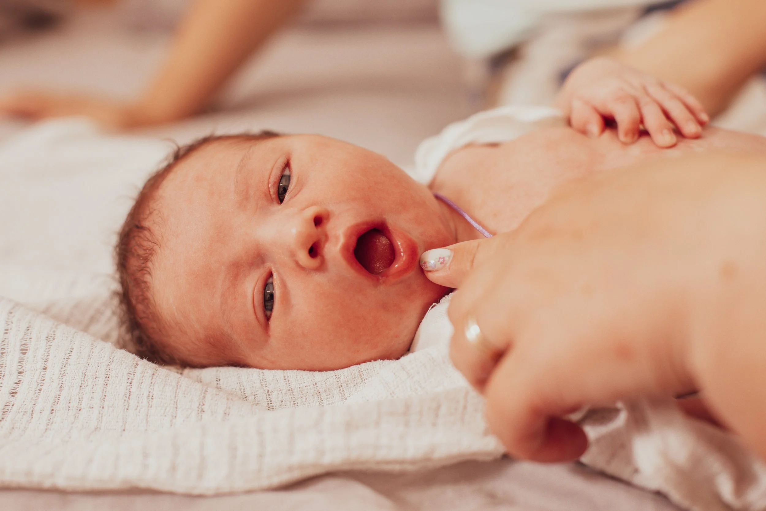 Close-up of a newborn baby lying on a white blanket, with a person's hand gently touching its chest, and a blurred background.