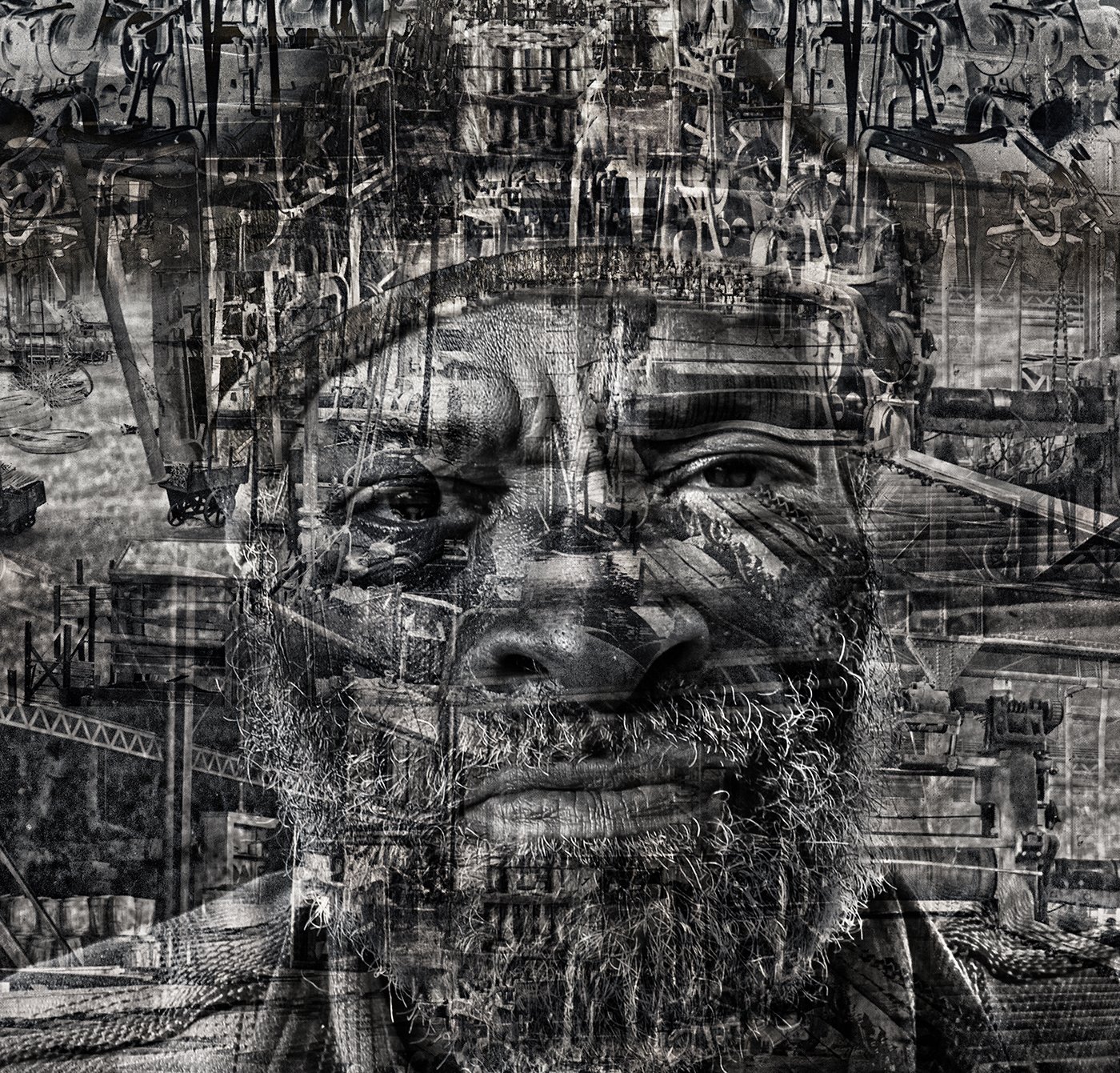 displaced8.jpg
