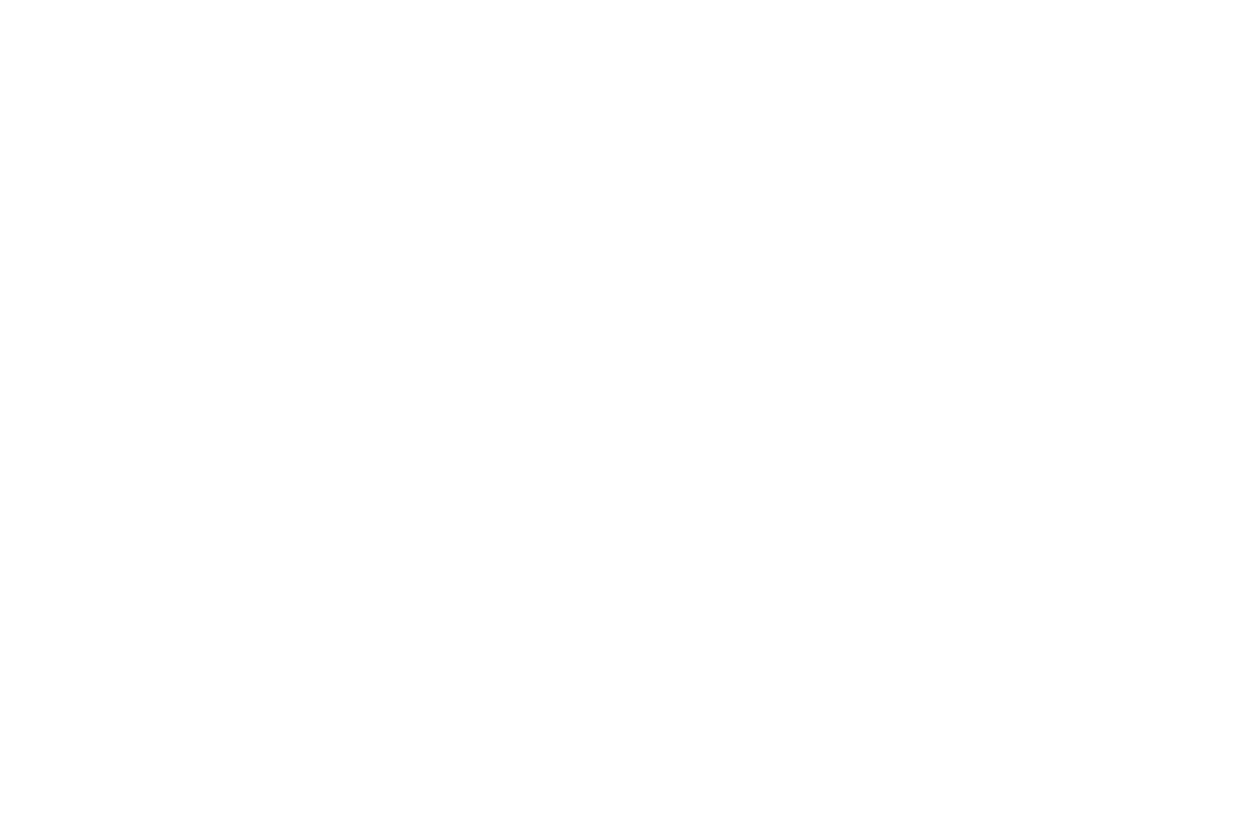 OFFICIAL SELECTION - Monadnock International Film Festival - 2026.png