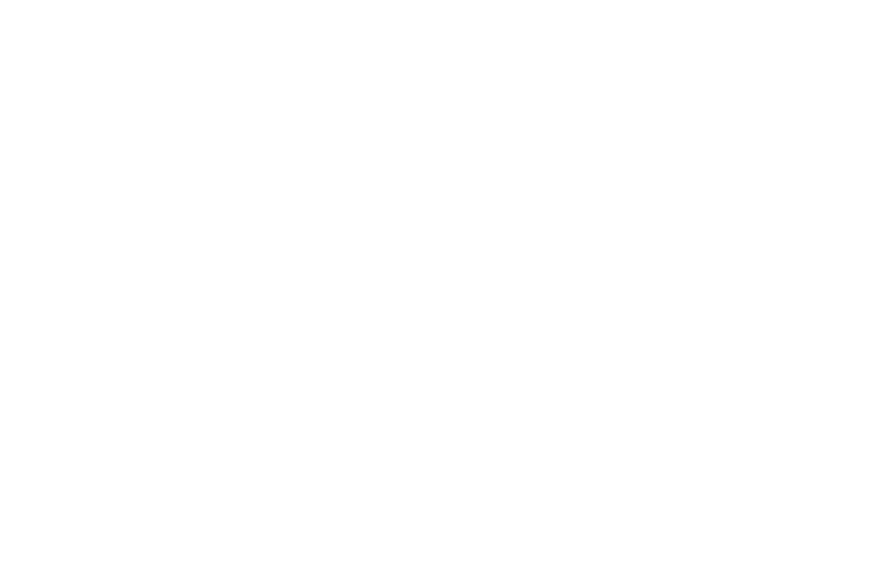OFFICIAL SELECTION - Fastnet Film Festival - 2026 copy.png
