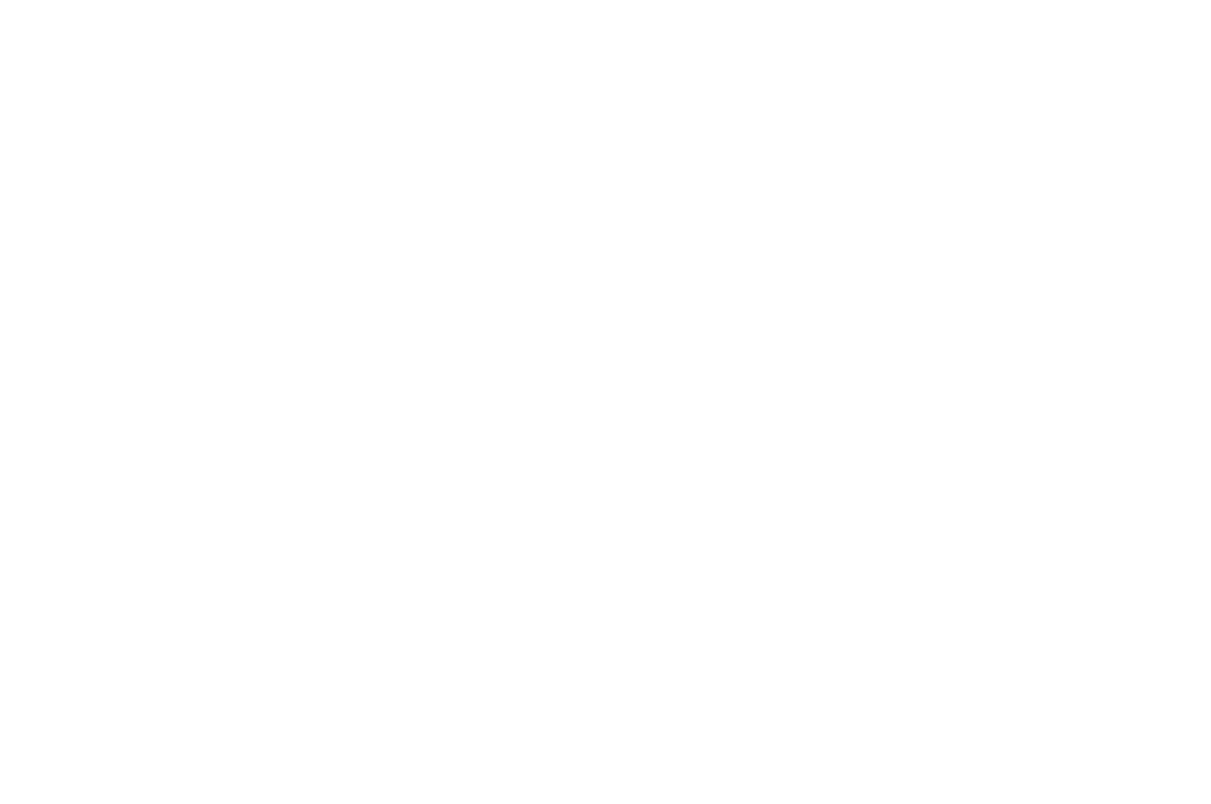 OFFICIAL SELECTION - RICHMOND INTERNATIONAL FILM FESTIVAL - 2026.png