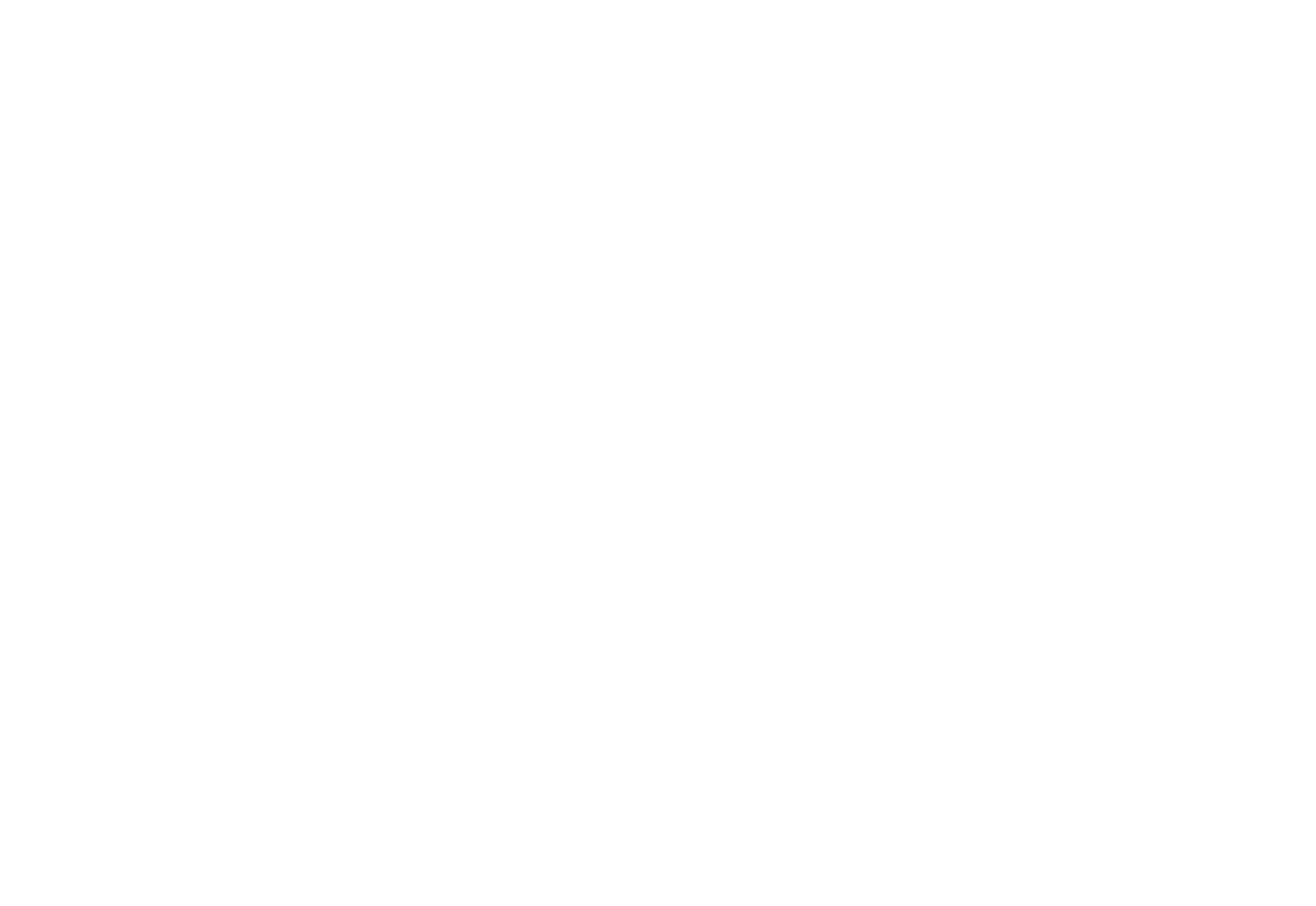 Tenet DFS LLC