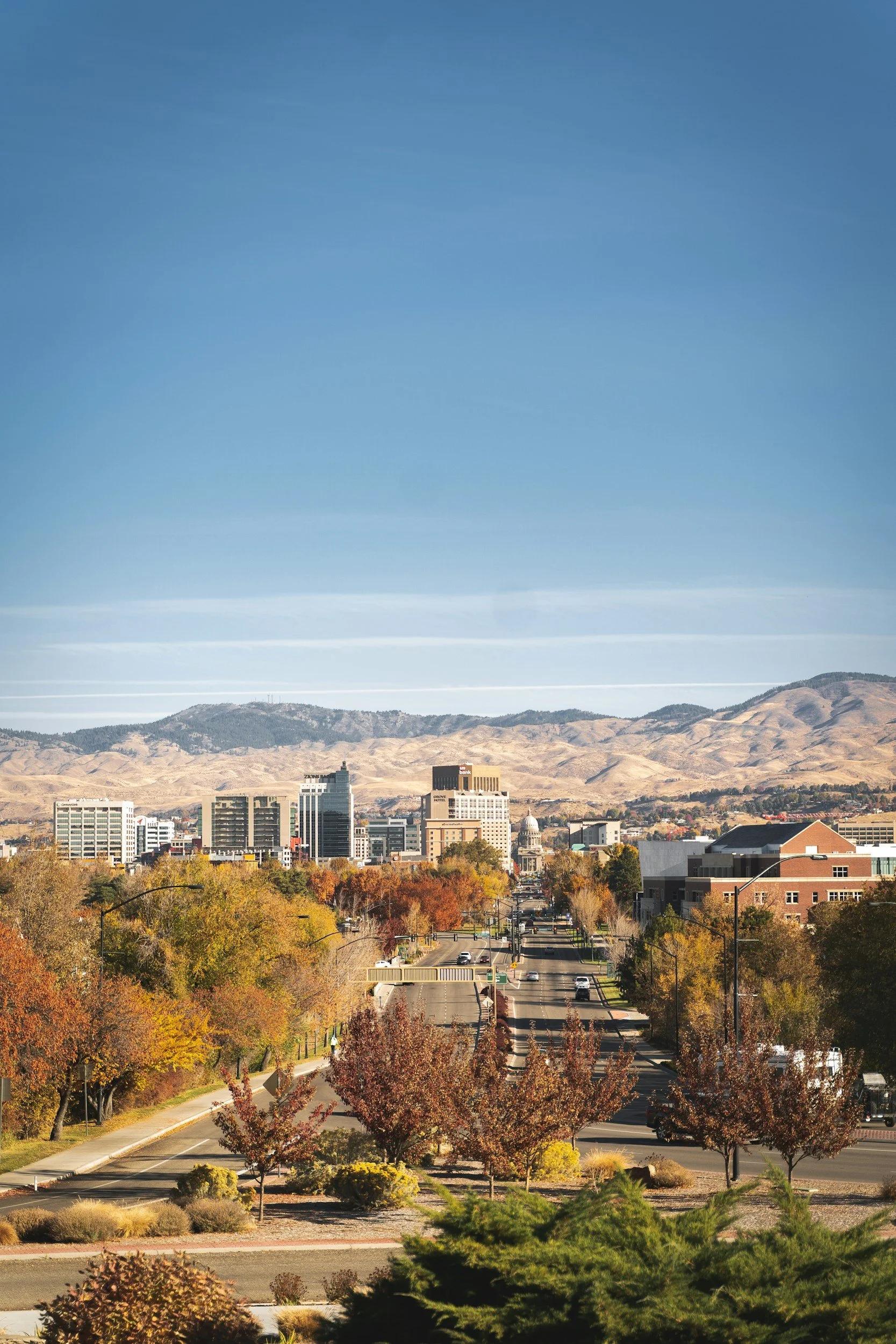A cityscape with tall buildings, a street with cars, and colorful trees in the foreground during autumn with mountains in the background under a blue sky.