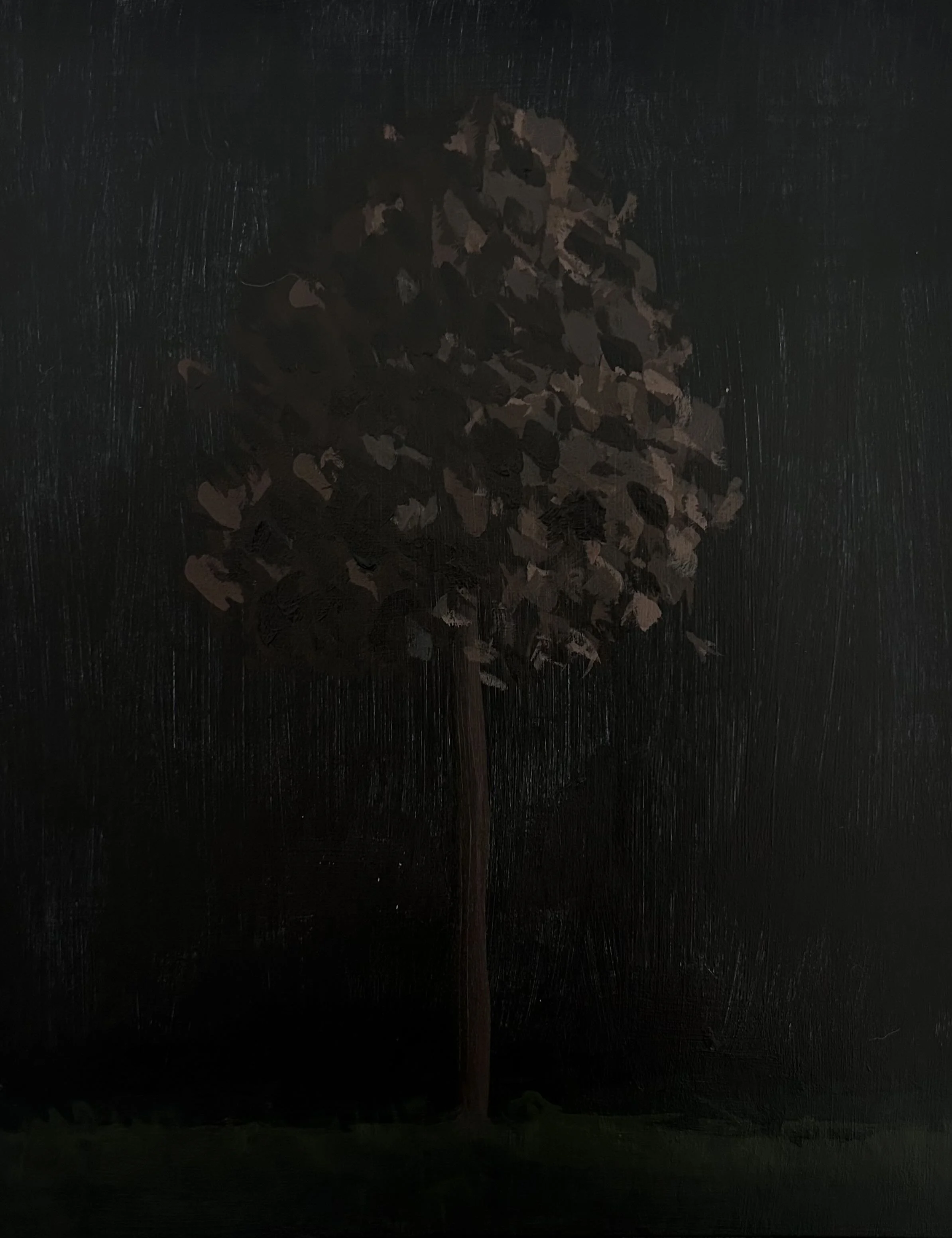 In The Dark I - 2025