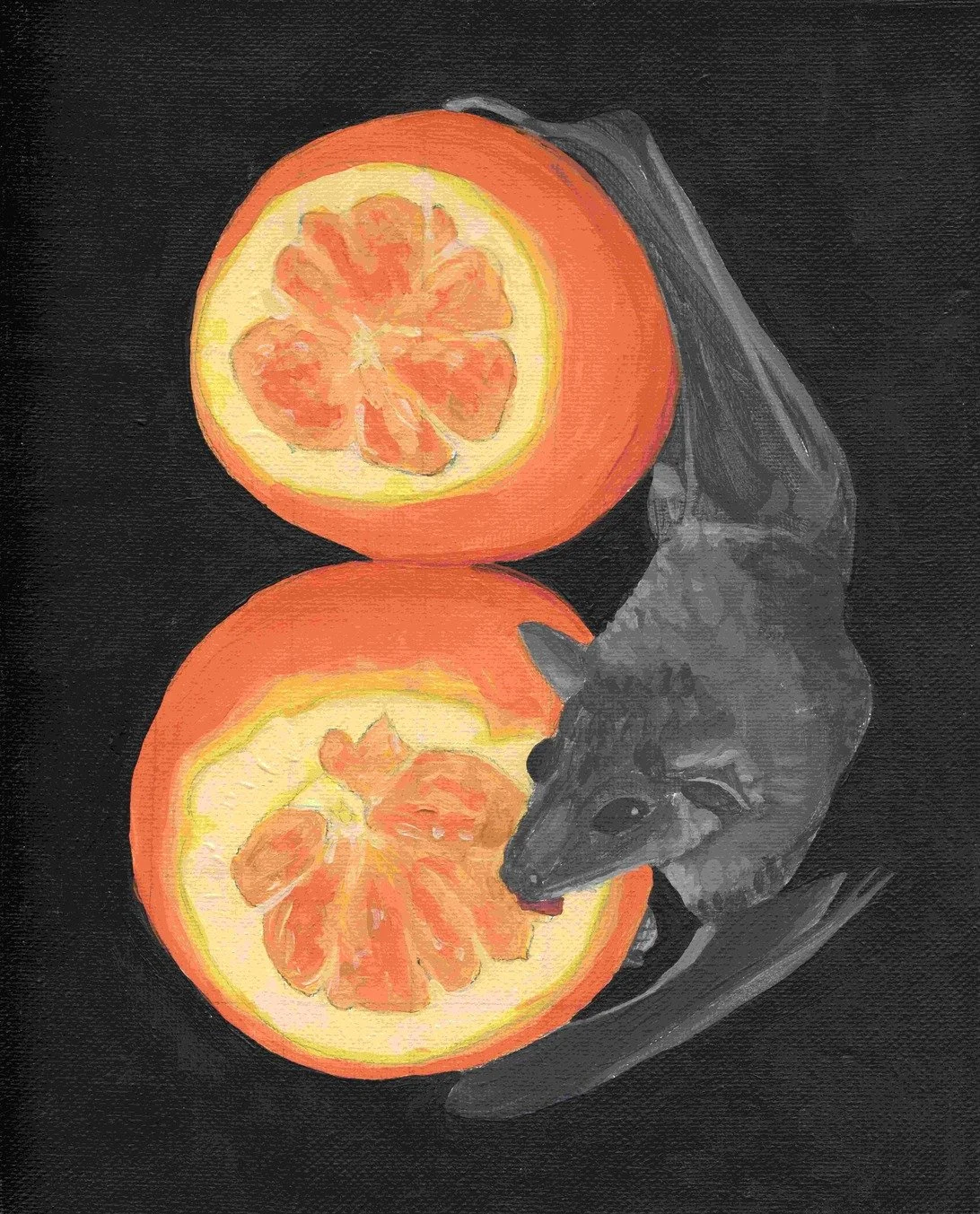 Fruit Bat - 2025