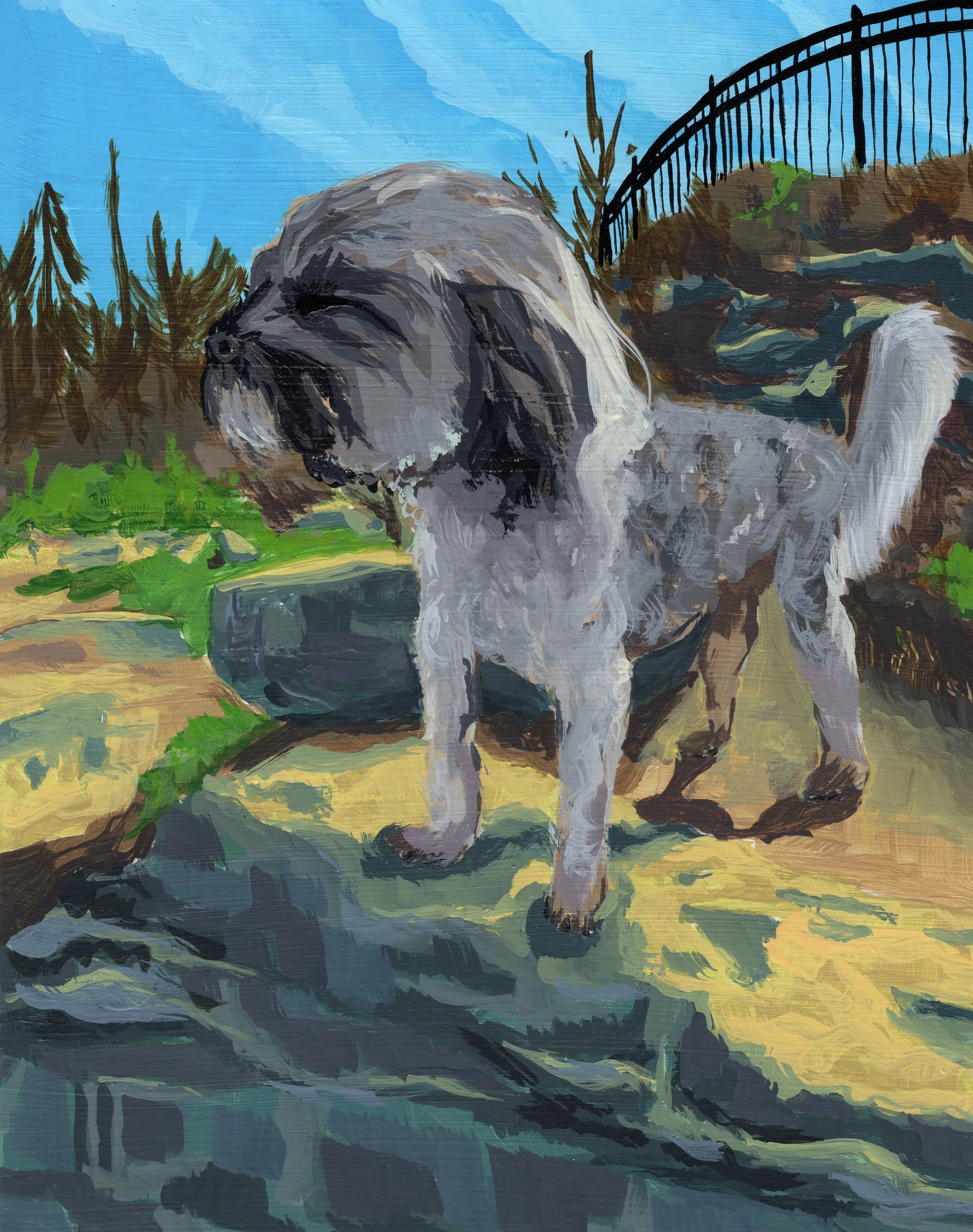 Toby - 2026