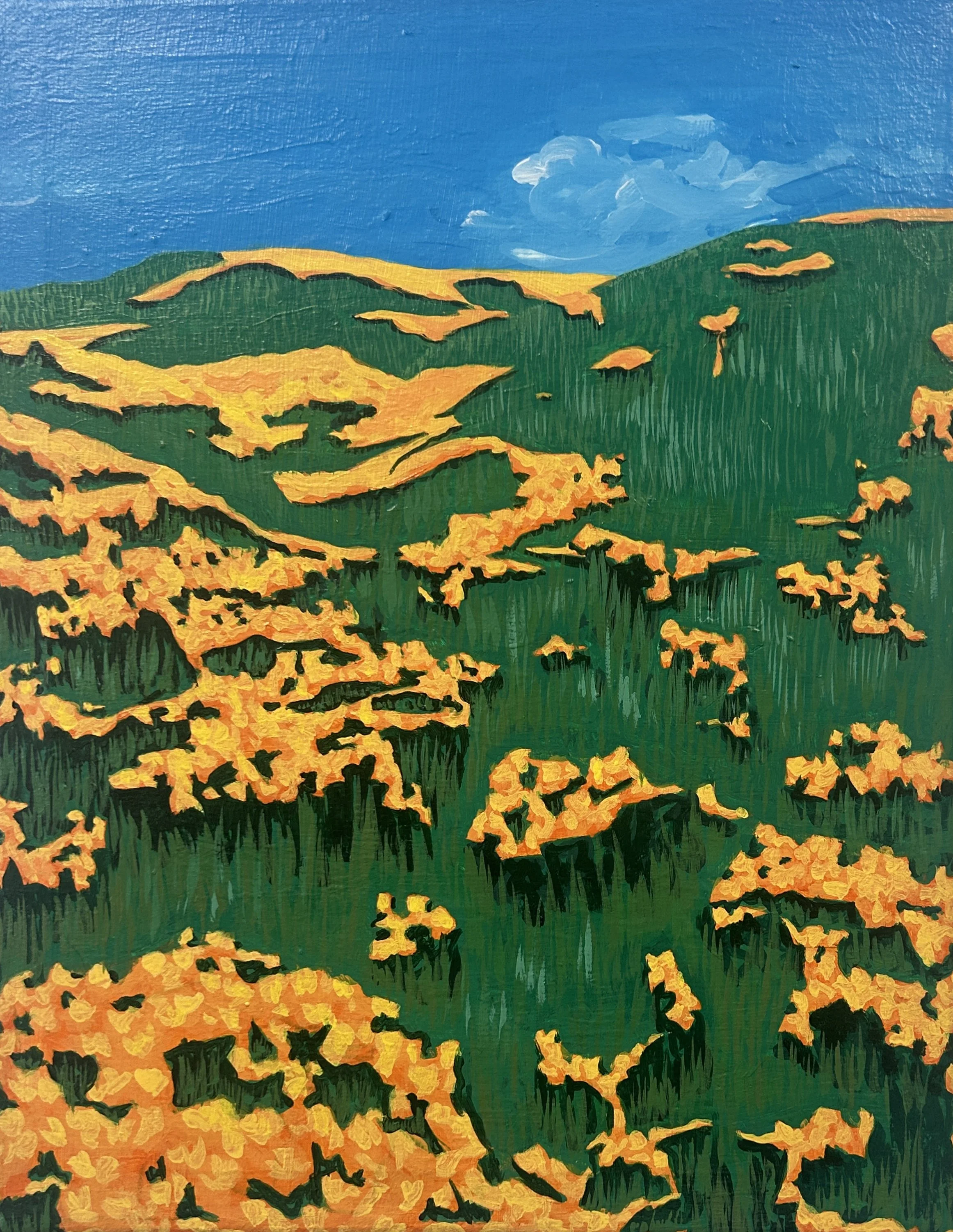 Meadow - 2026