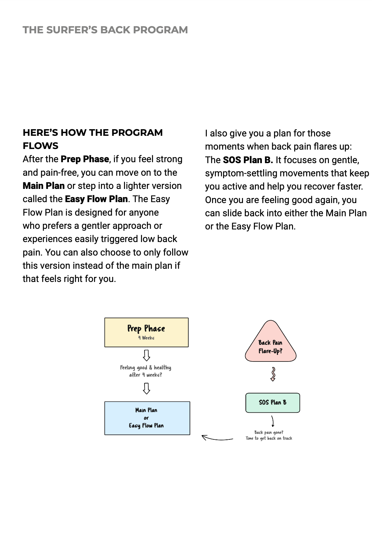 Flowchart showing how the program progresses from the prep phase to training plans and pain flare-up management