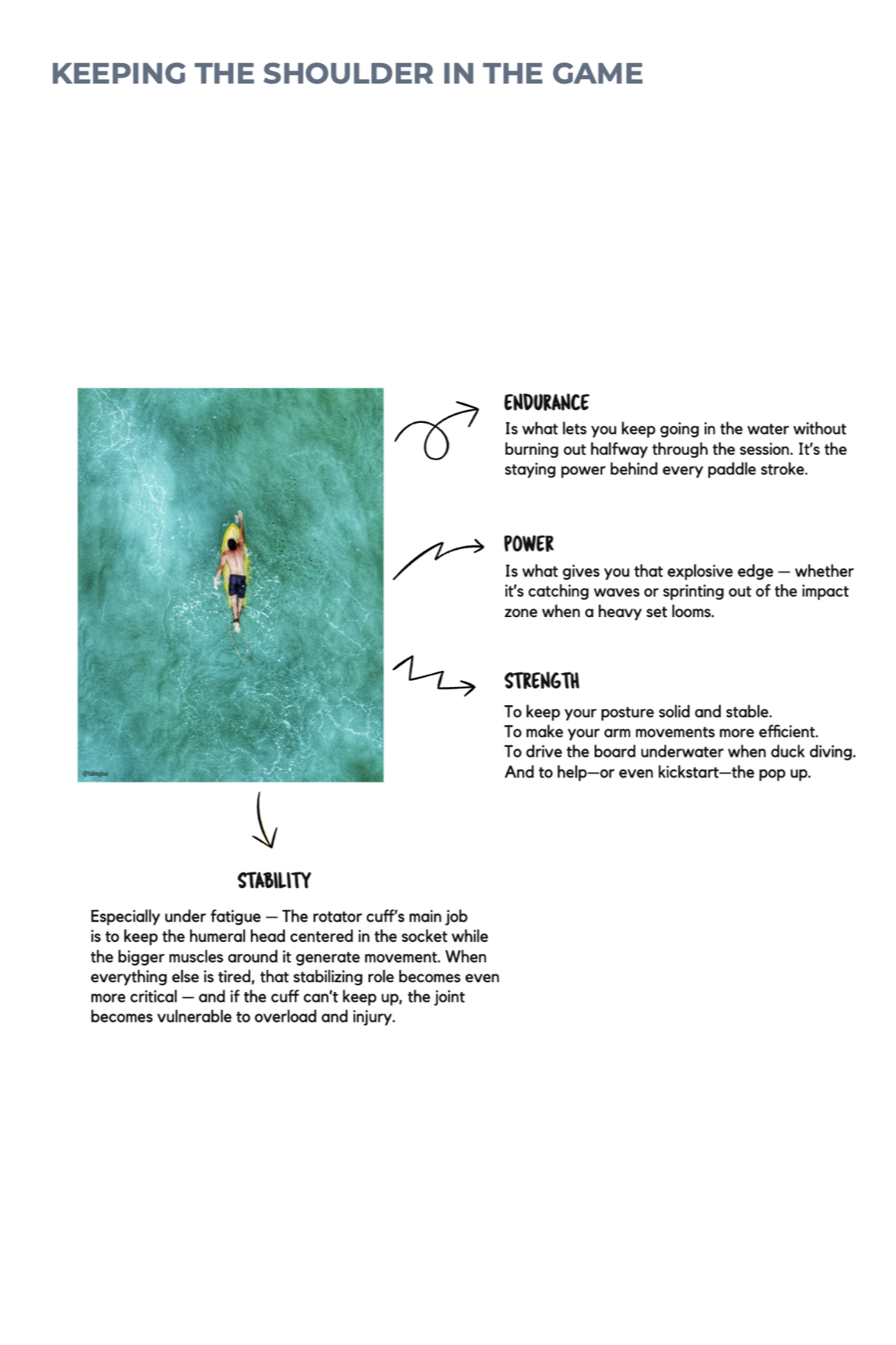 Diagram explaining the key physical qualities for healthy, high-performing surfer shoulders: endurance, power, strength, and stability.