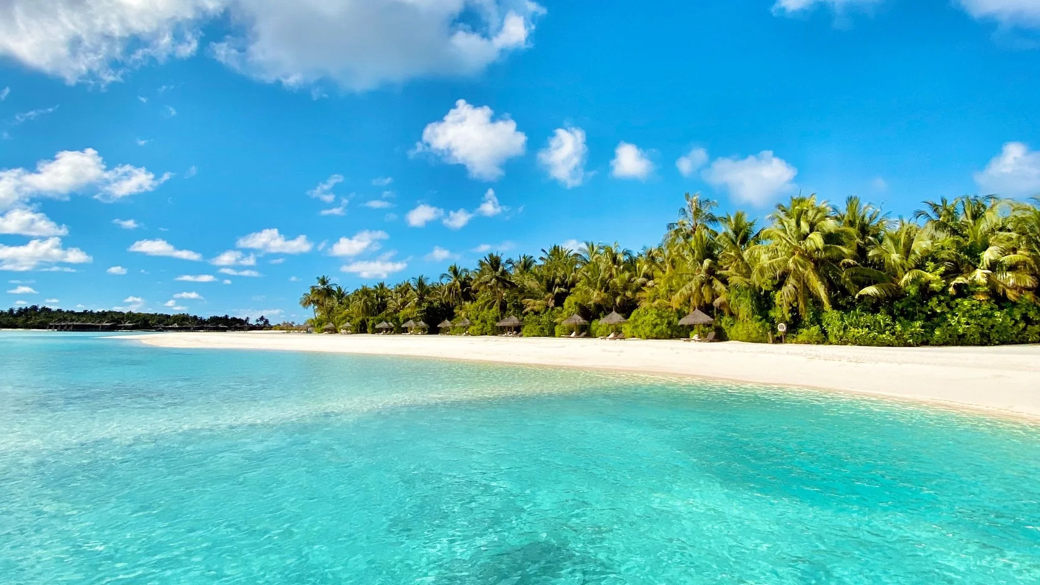 Booked Your Cruise Directly With the Cruise Line? You Can Still Get Personalized Service.