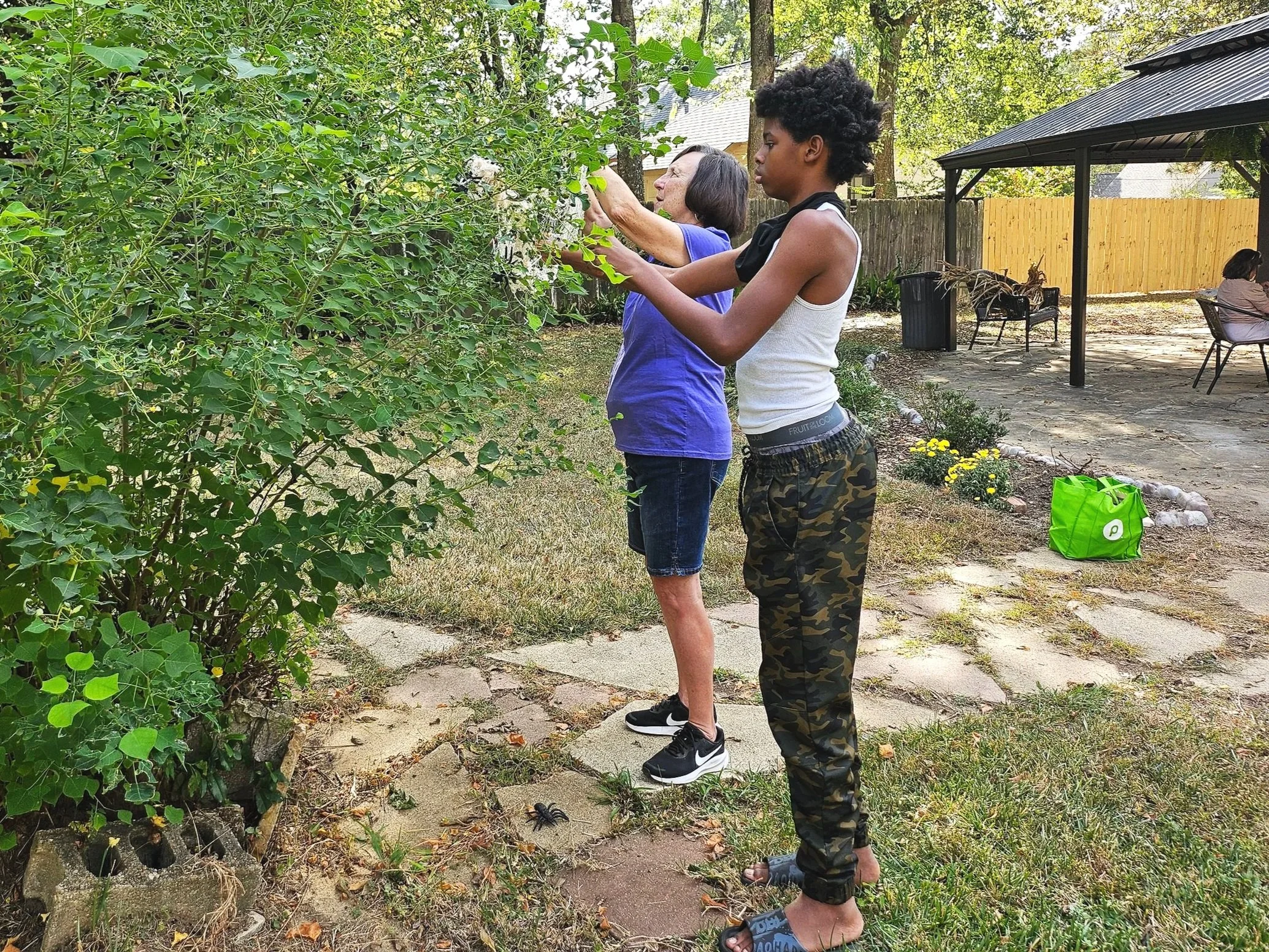 Two women are standing outdoors near a bush, looking at and inspecting the plants. One is older with light skin and gray hair, and the other is younger with dark skin and short curly hair. There is a woman sitting at a table under a gazebo in the background.