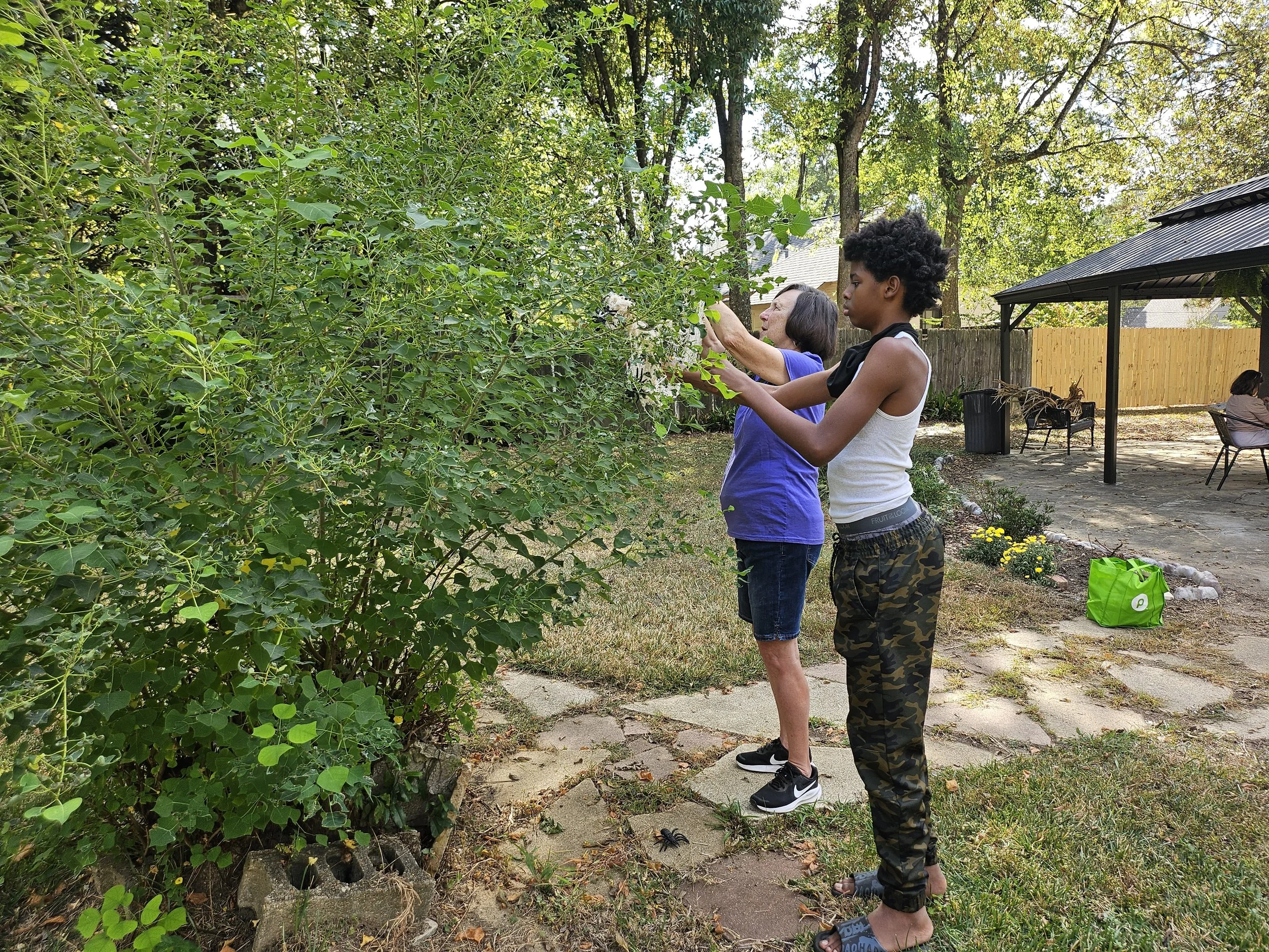 Two people, one an older woman and the other a younger individual with curly hair, are outdoors near a thick bush, picking leaves. The scene is in a backyard with trees, a wooden fence, and a covered porch area in the background. One person is reaching into the bush while the other looks on.