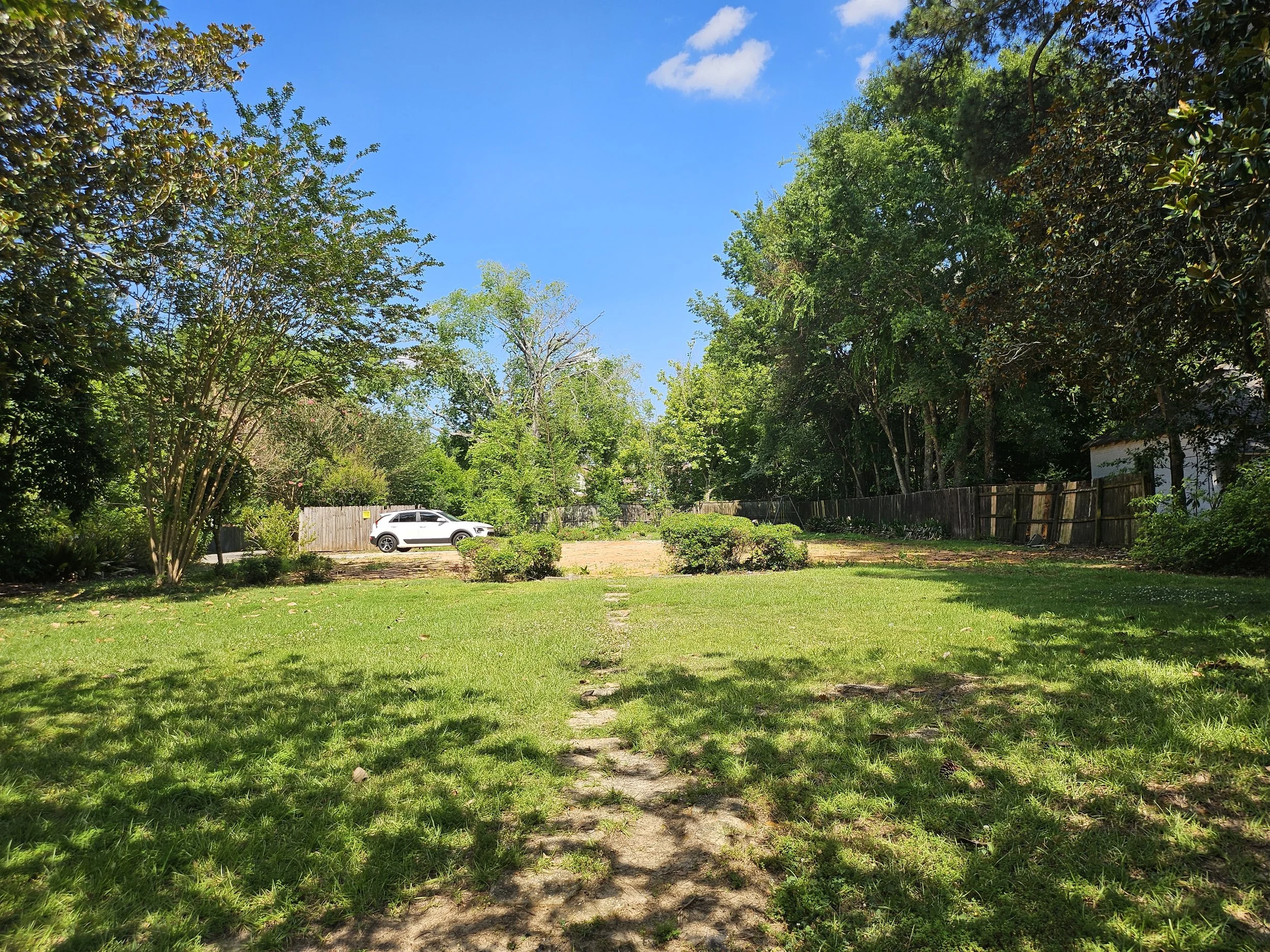 A sunny backyard with a grassy lawn, trees with green leaves, a wooden fence, and a parked white car in the background.