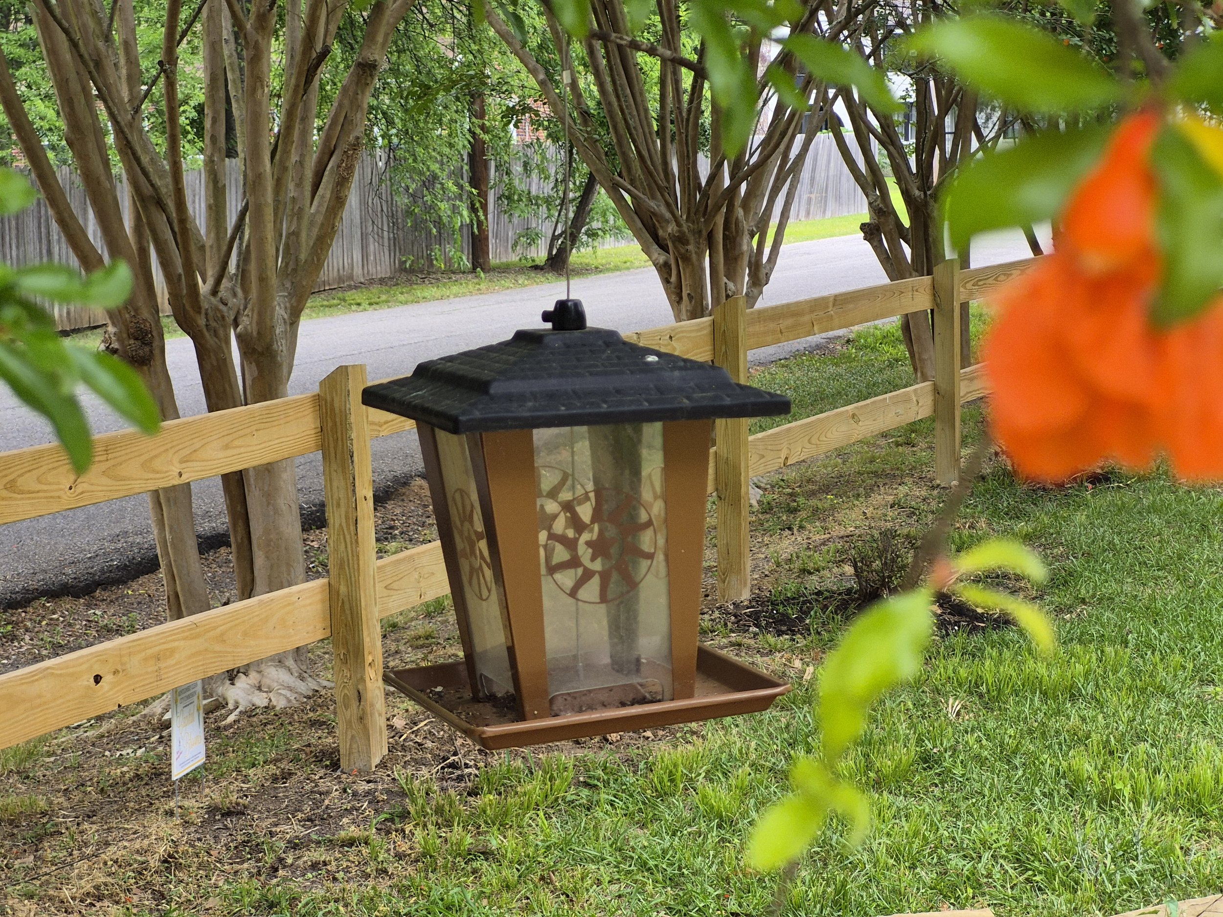 A black outdoor lamp post with glass panels hangs from a tree branch, next to a wooden fence and green grass.