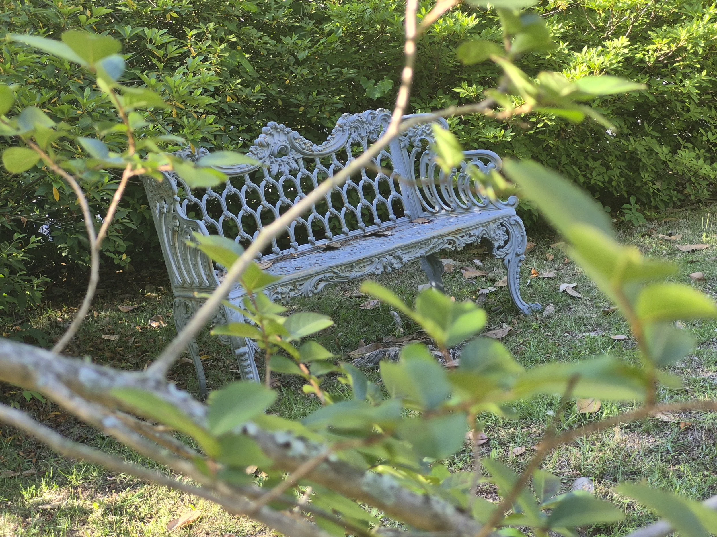 A white ornate garden bench surrounded by green bushes and trees, with some leaves and branches partially obscuring the view.