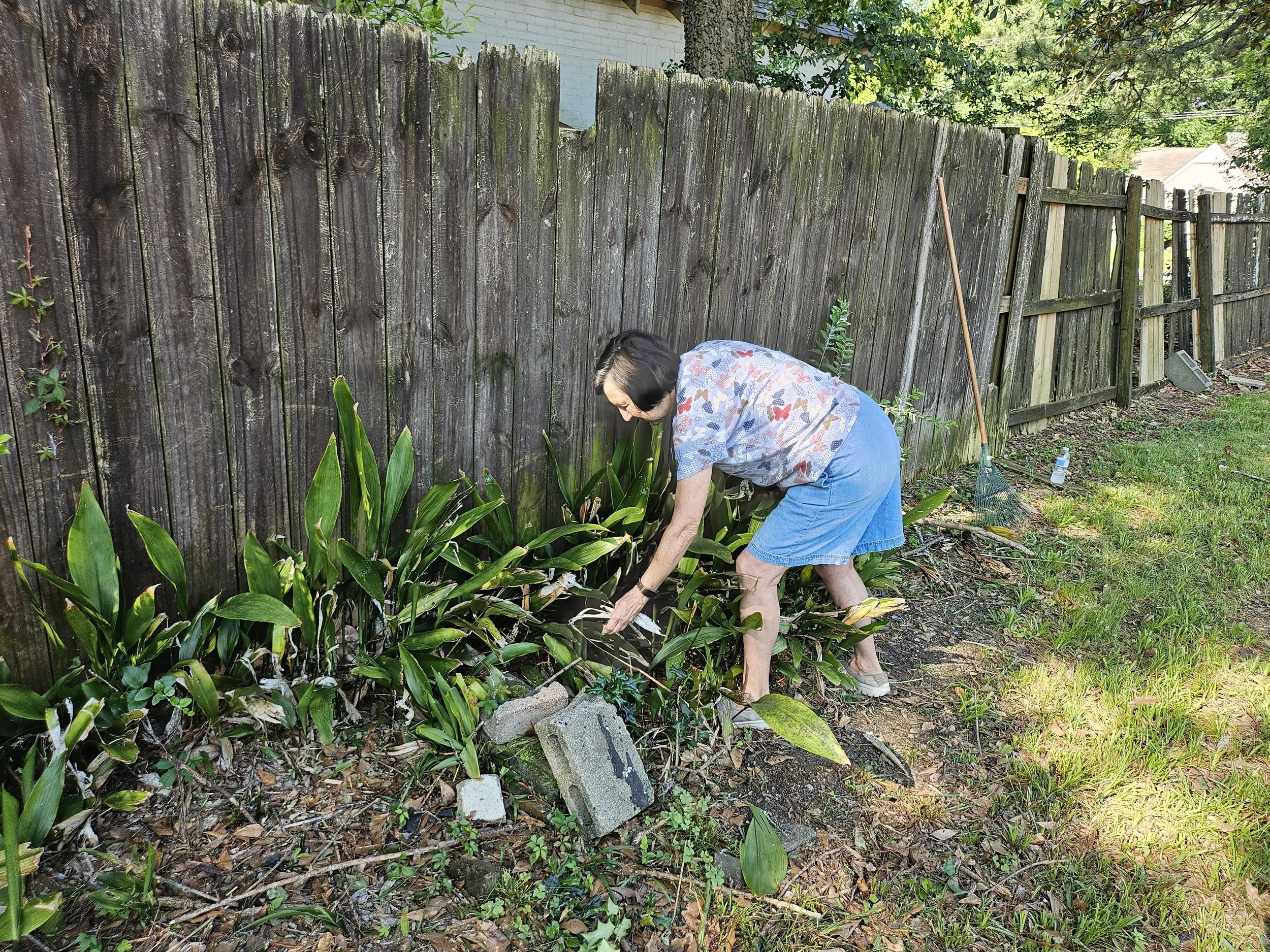A woman with dark hair wearing a floral shirt and denim shorts is gardening near a weathered wooden fence, surrounded by green plants and gardening tools.