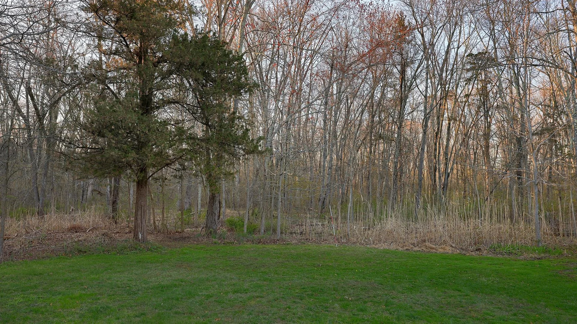 028-013-Exterior  Back-1920x1080.jpg