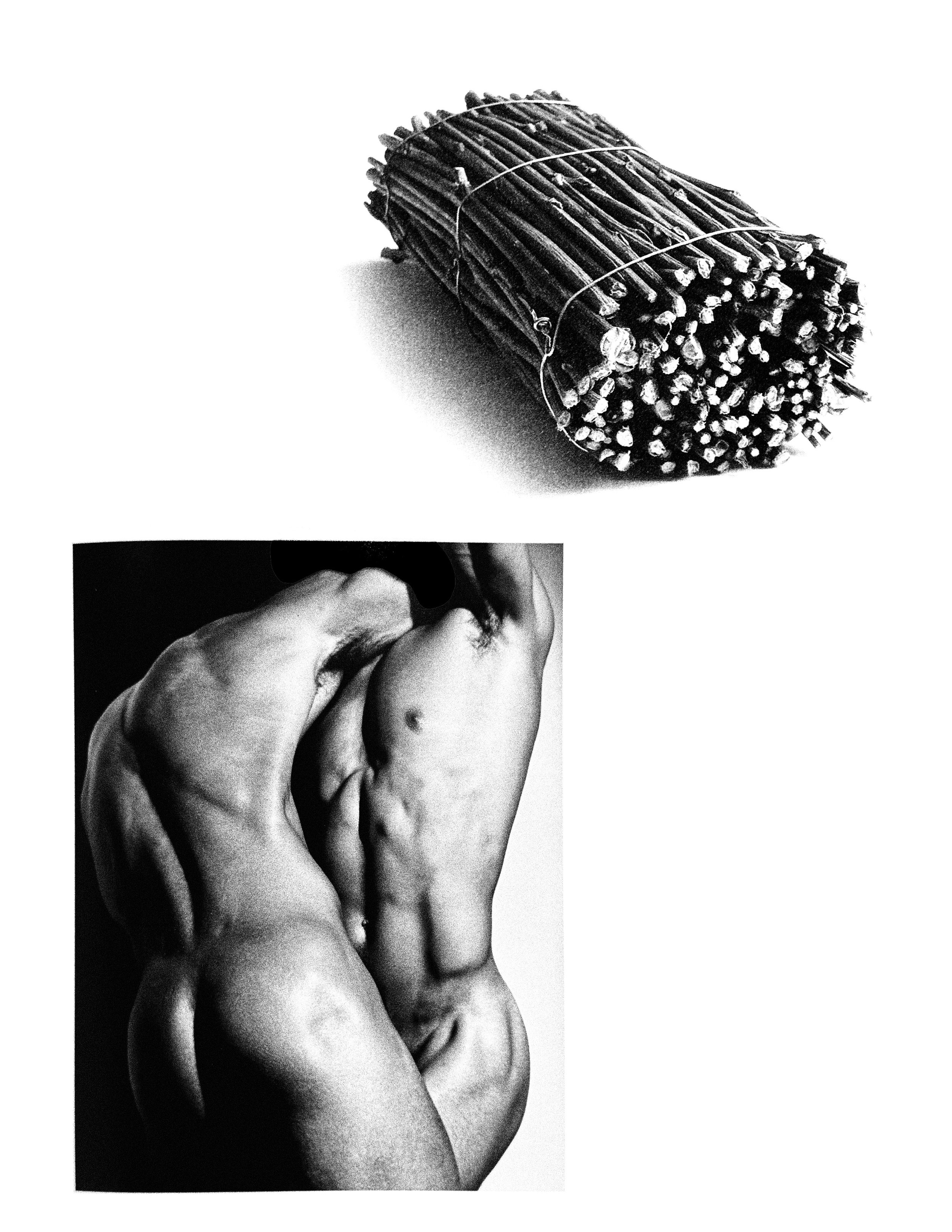 Untitled_Artwork 56.jpg