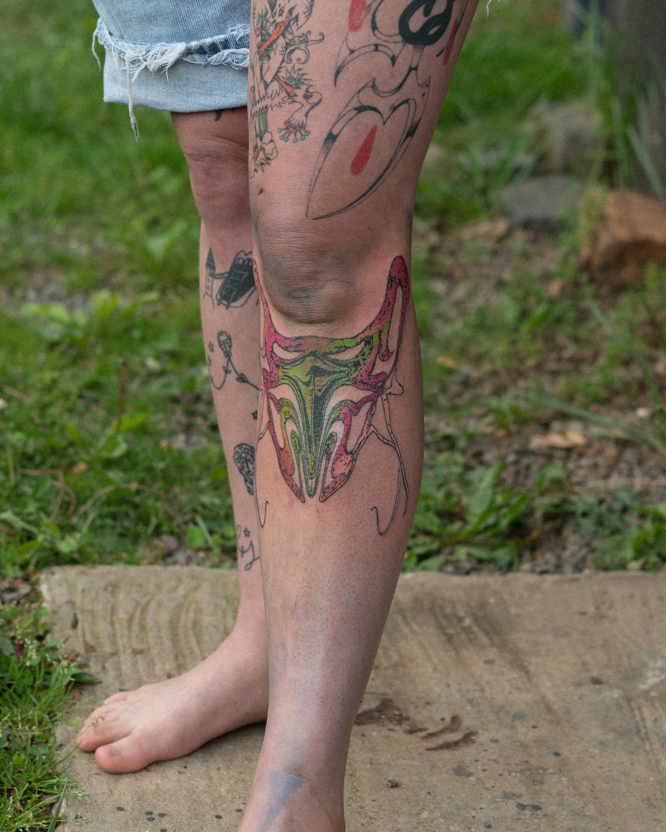 DSC04844.jpg