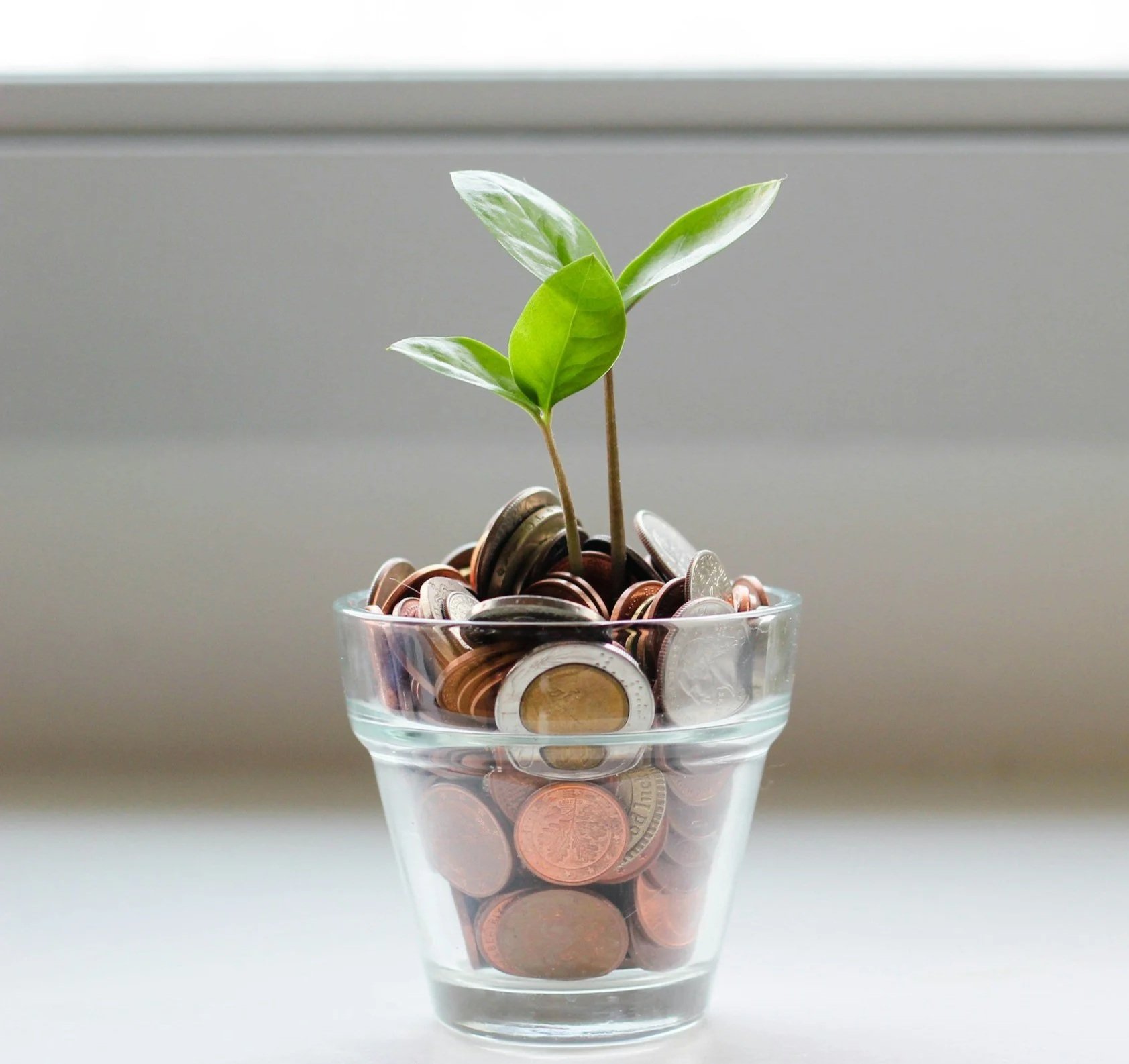 A clear glass cup filled with coins, with a small green plant growing from the coins, set against a plain white background.