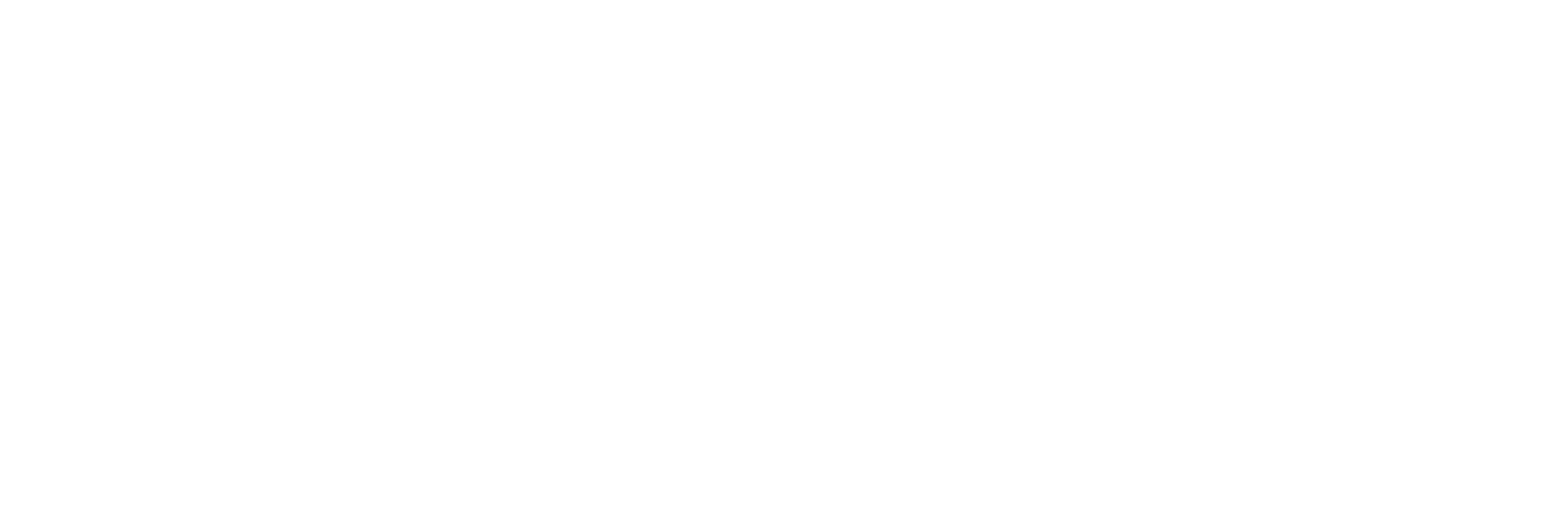 Logo en blanco y negro con el texto 'radiant SE' en letras mayúsculas y minúsculas, con marcas registradas.