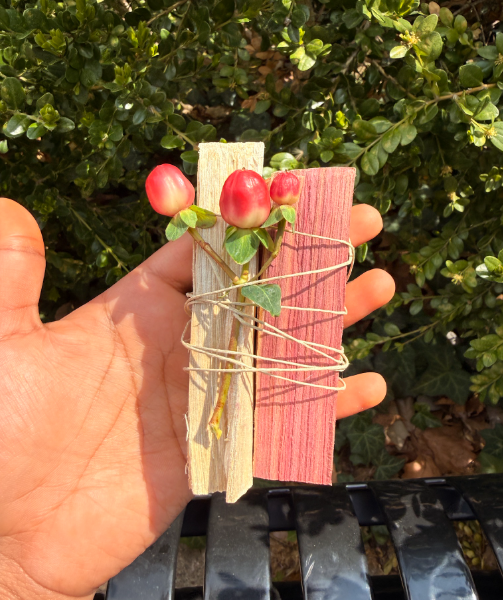 Screenshot 2026-04-20 4.42.48 PM.png