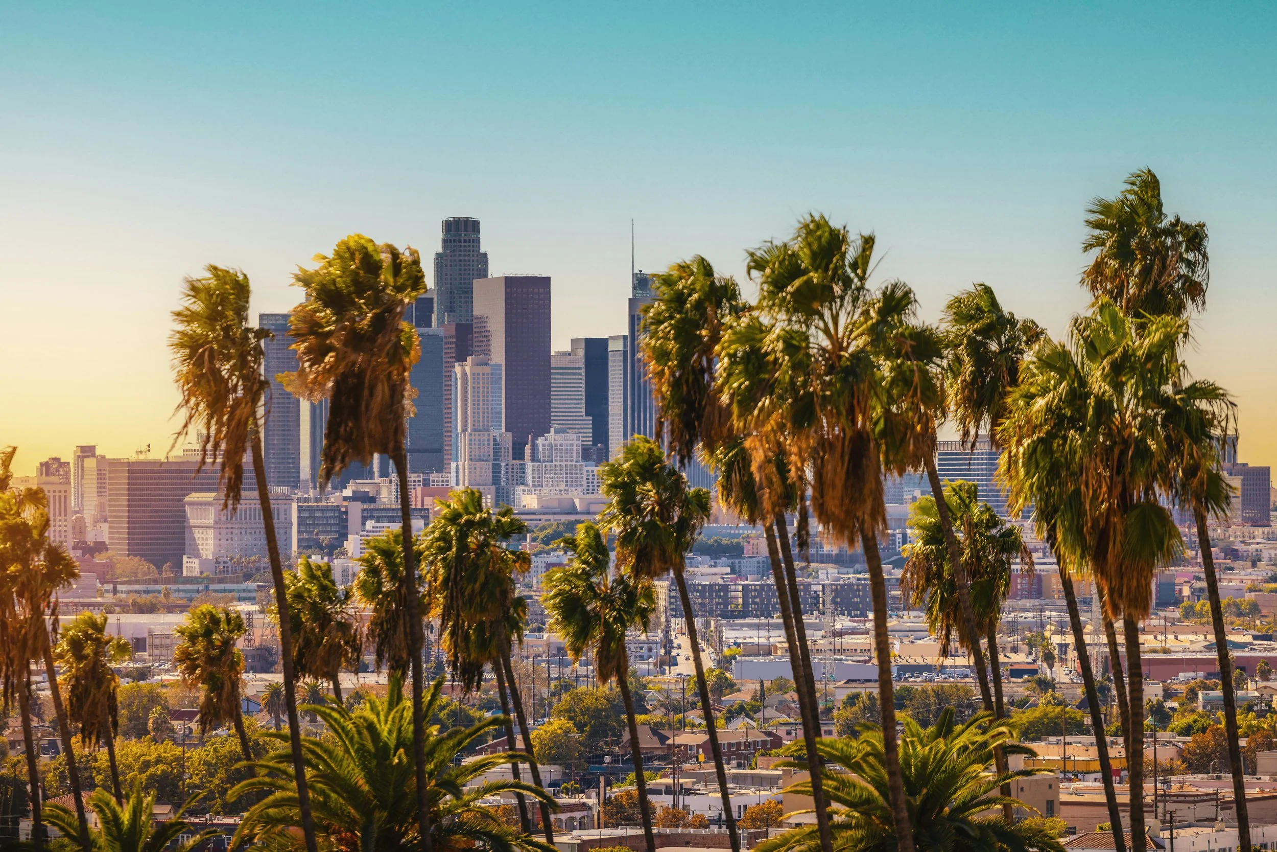 Supporting Los Angeles: A Message from the Founders of Nash Injections by Hannah