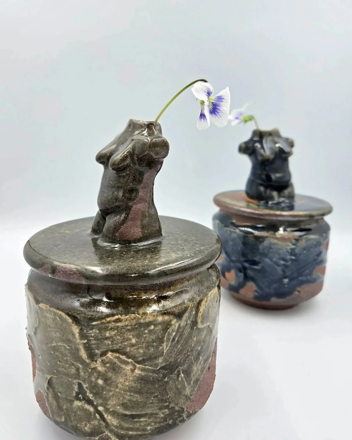 Deux petits pots en céramique avec des couvercles, chacun contenant une fleur à une seule tige. La fleur est blanche avec des veines violettes.