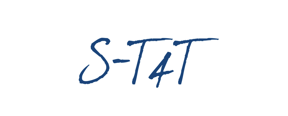 Storying Training for Trainers      (S-T4T)