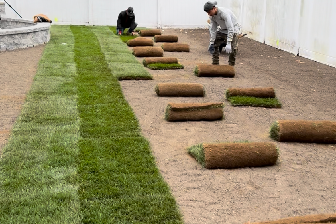 Newburyport, Ipswich, Boxford, Byfield, Beverly, North Andover, Lynnfield, Boston, Lexington Mulch, Planting, Sod Installation, Shrub Trimming, Shrub Fertilizing  