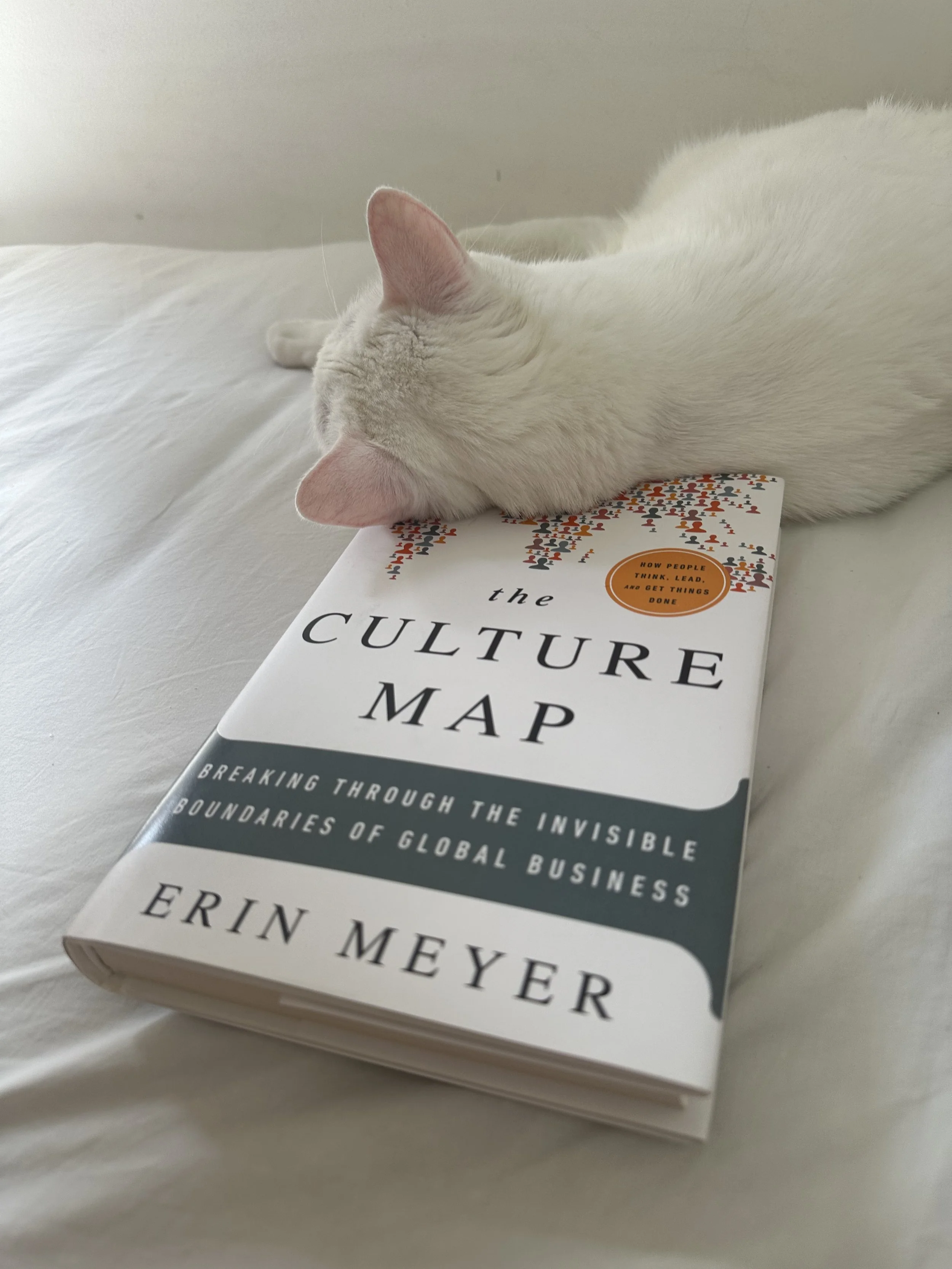 A white cat resting its head on a copy of The Culture Map by Erin Meyer, a book about cross-cultural communication in global business.