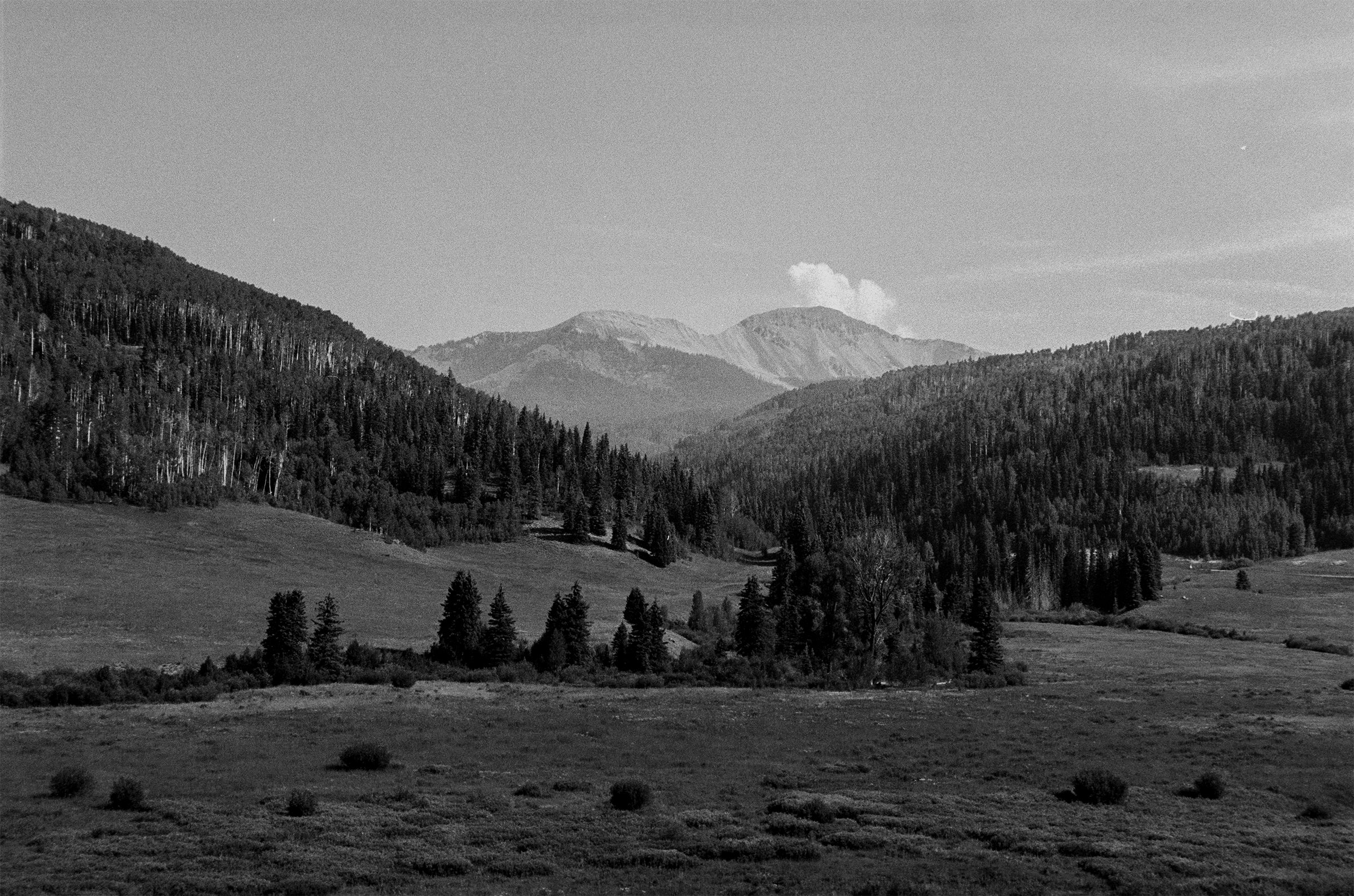 Durango View