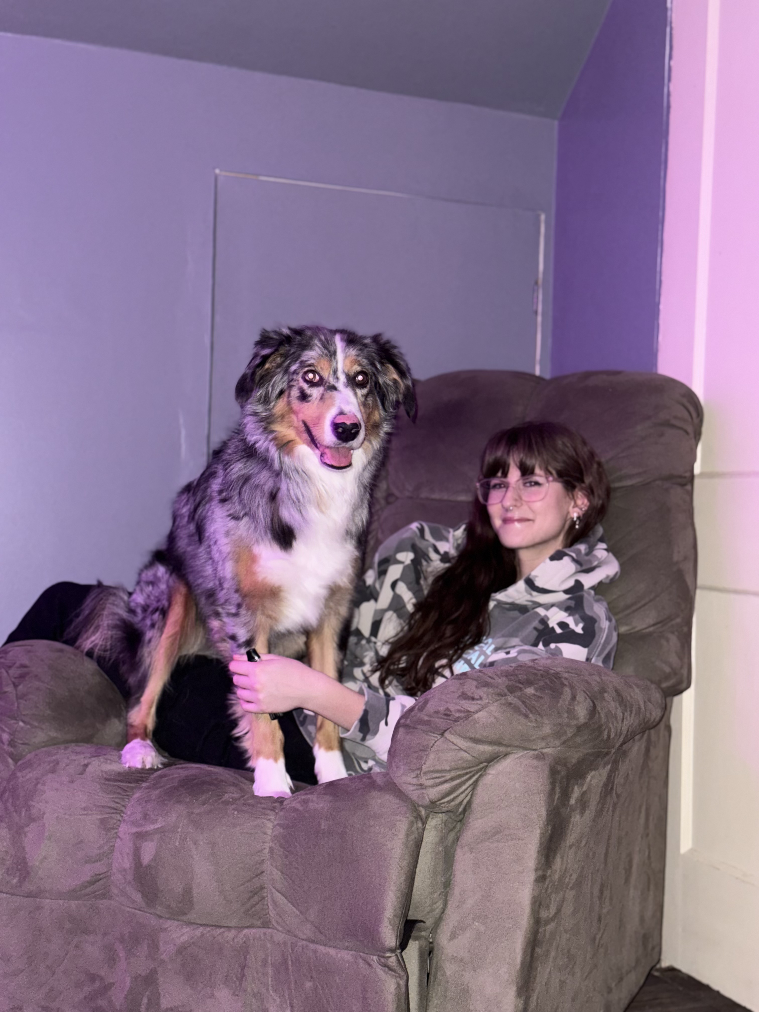 A person with long dark hair and glasses sitting in a brown armchair, smiling, with a large Australian Shepherd dog standing on the armrest in front of them, indoors with purple and gray walls.