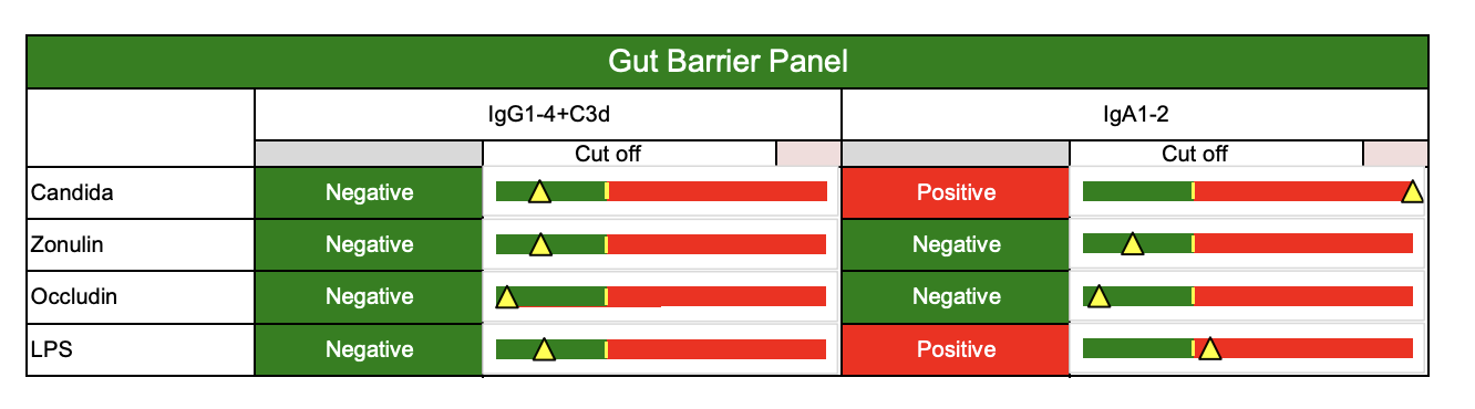 Table titled 'Gut Barrier Panel' showing test results for Candida, Zonulin, Occludin, and LPS. All results are negative for Candida, Zonulin, and Occludin, with two positives for LPS. Green indicates negative, red indicates positive, and yellow triangles indicate cut off points.