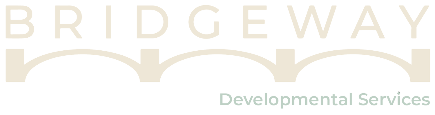 Bridgeway Developmental Services