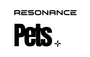 Your Site Title